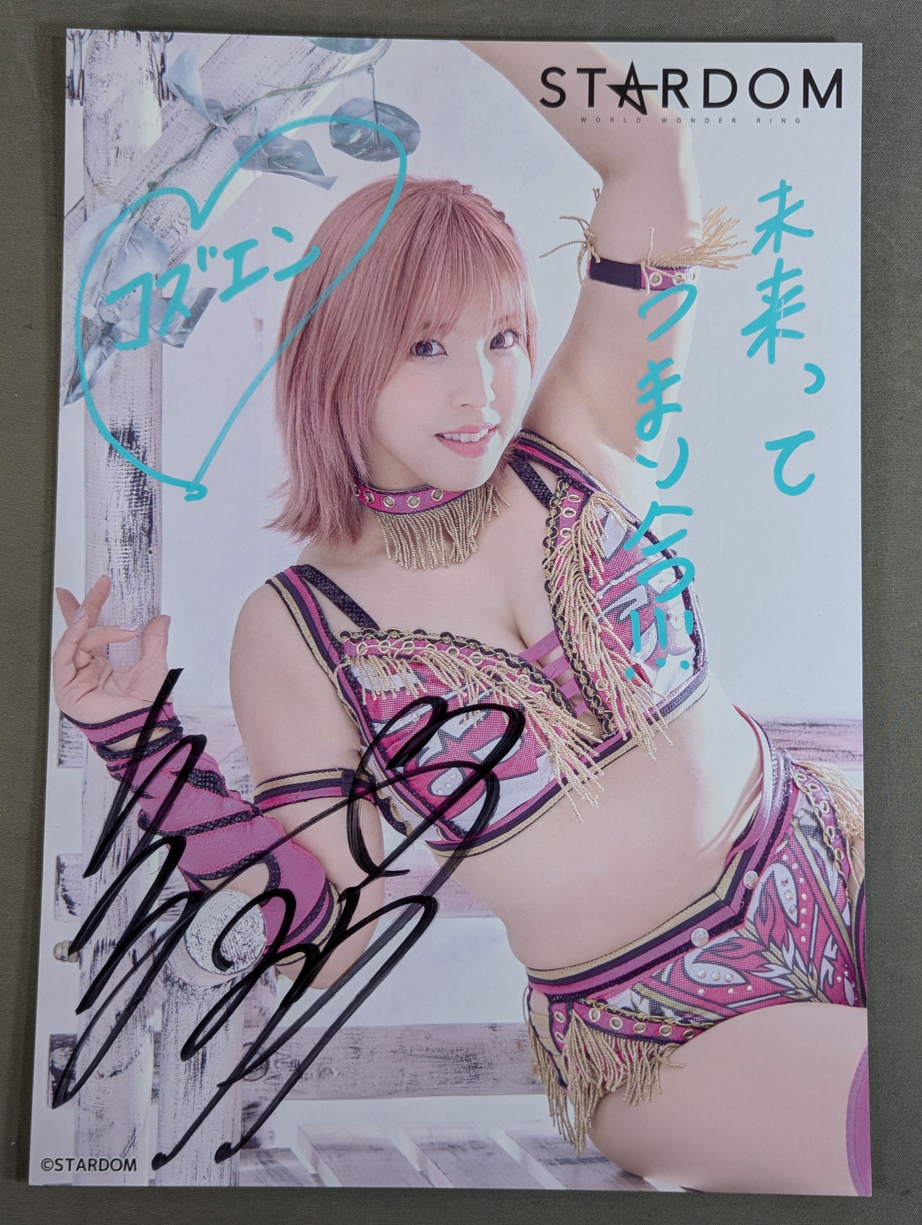 白川未奈 直筆サイン入り スターダムポートレート(J-5) – 闘道館