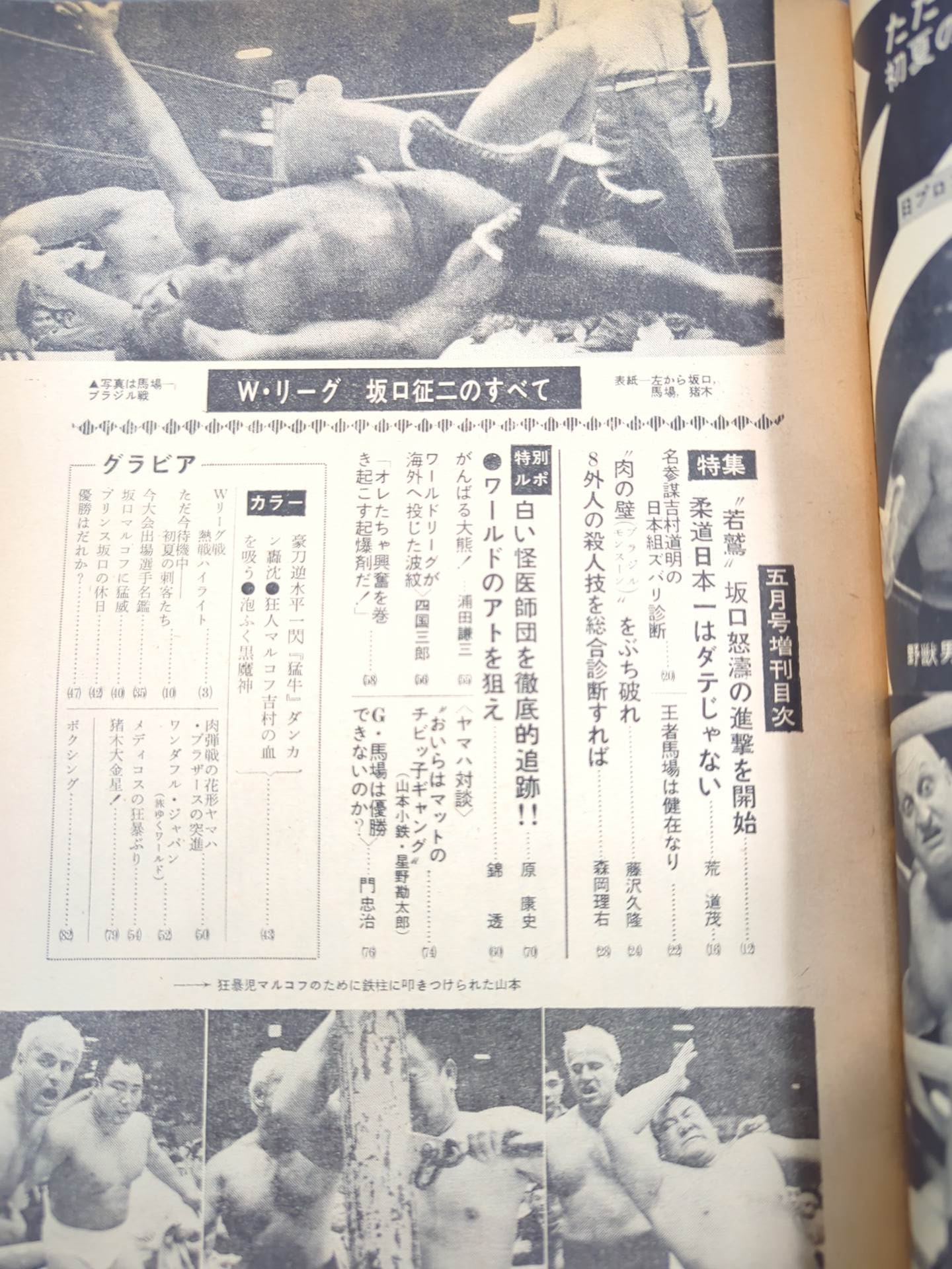 Pro Wrestling  & Boxing May 1969 Special Issue