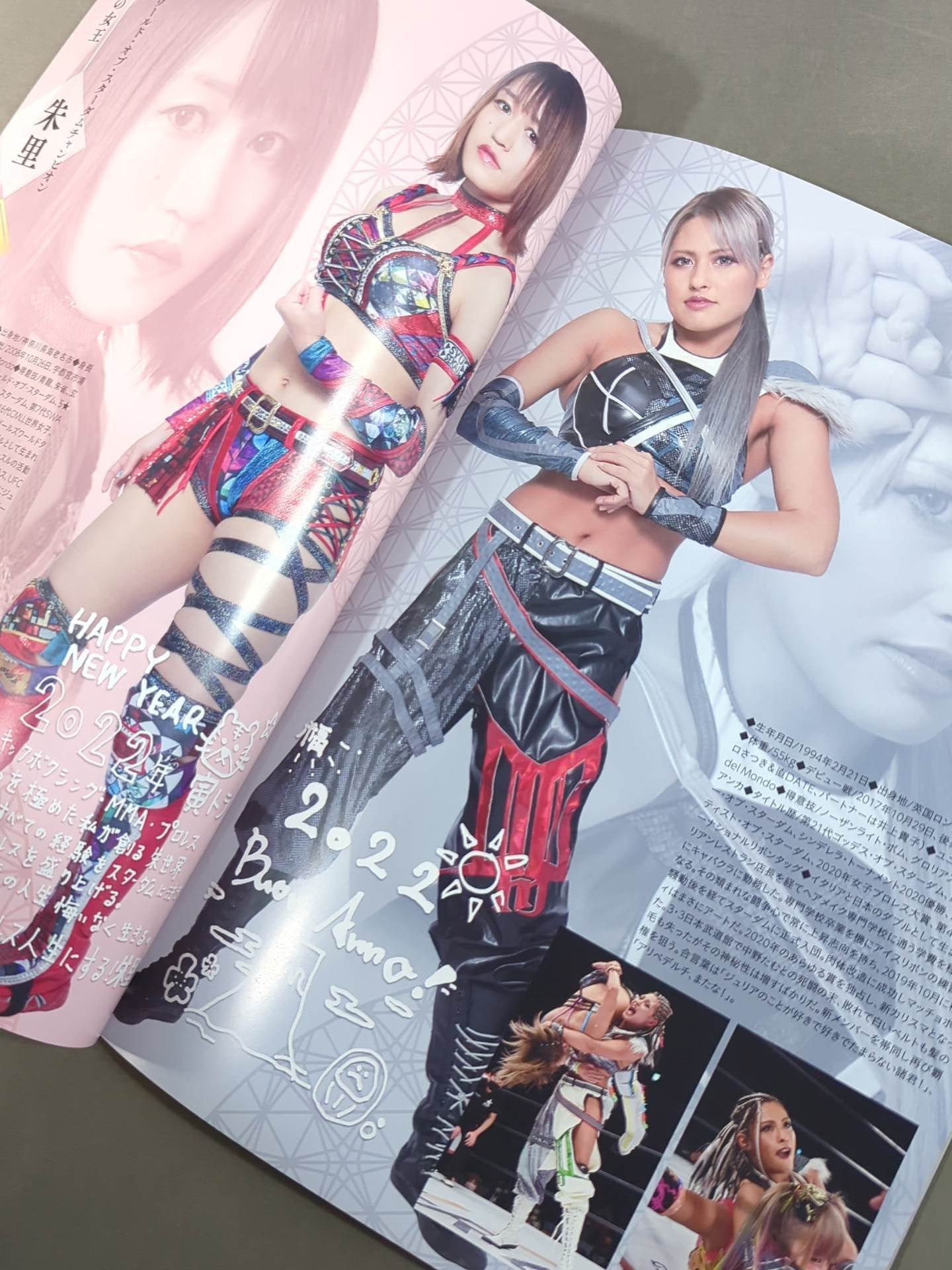 STARDOM OFFICIAL GUIDE BOOK Vol.140