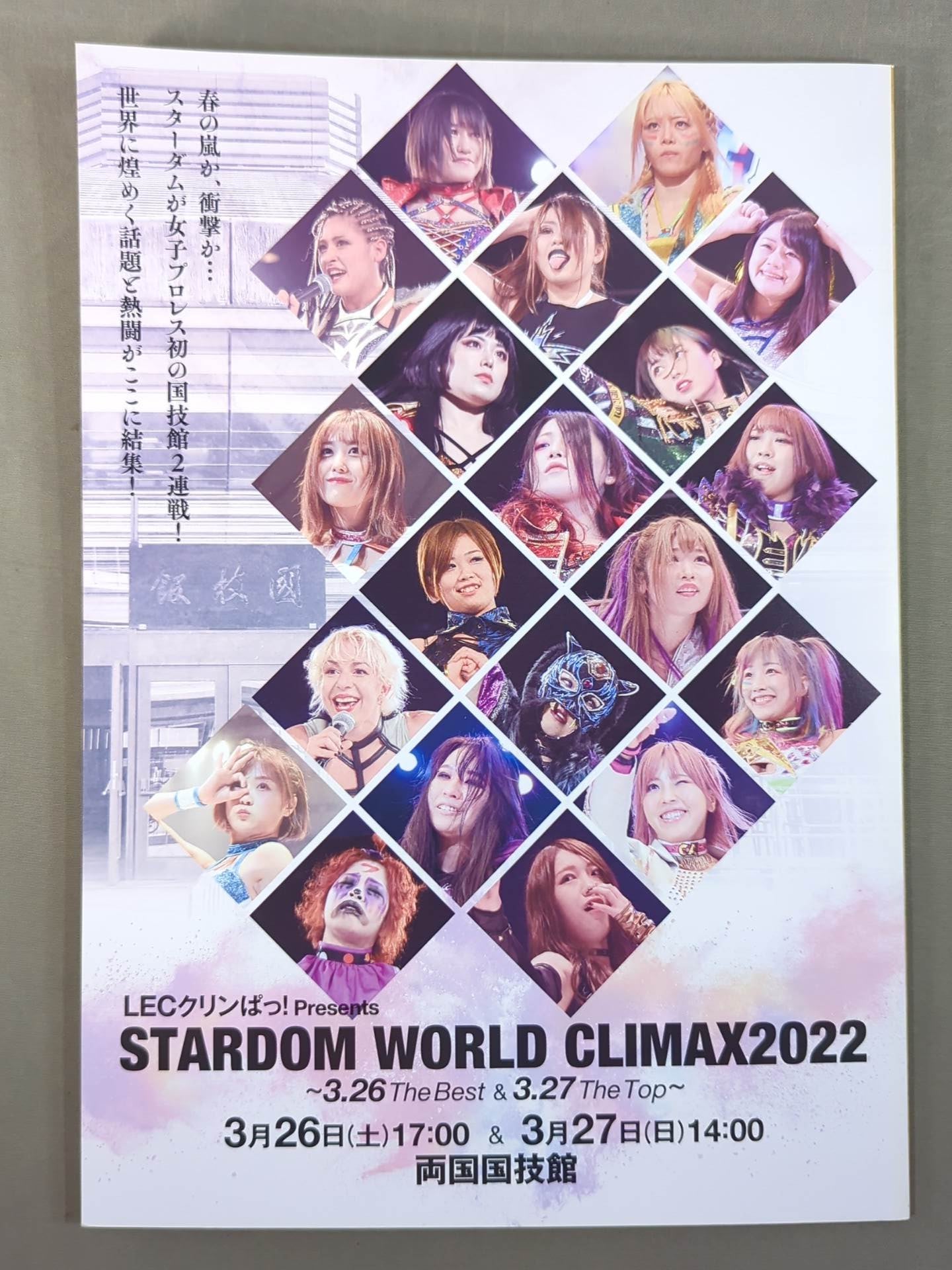 STARDOM OFFICIAL GUIDE BOOK Vol.140