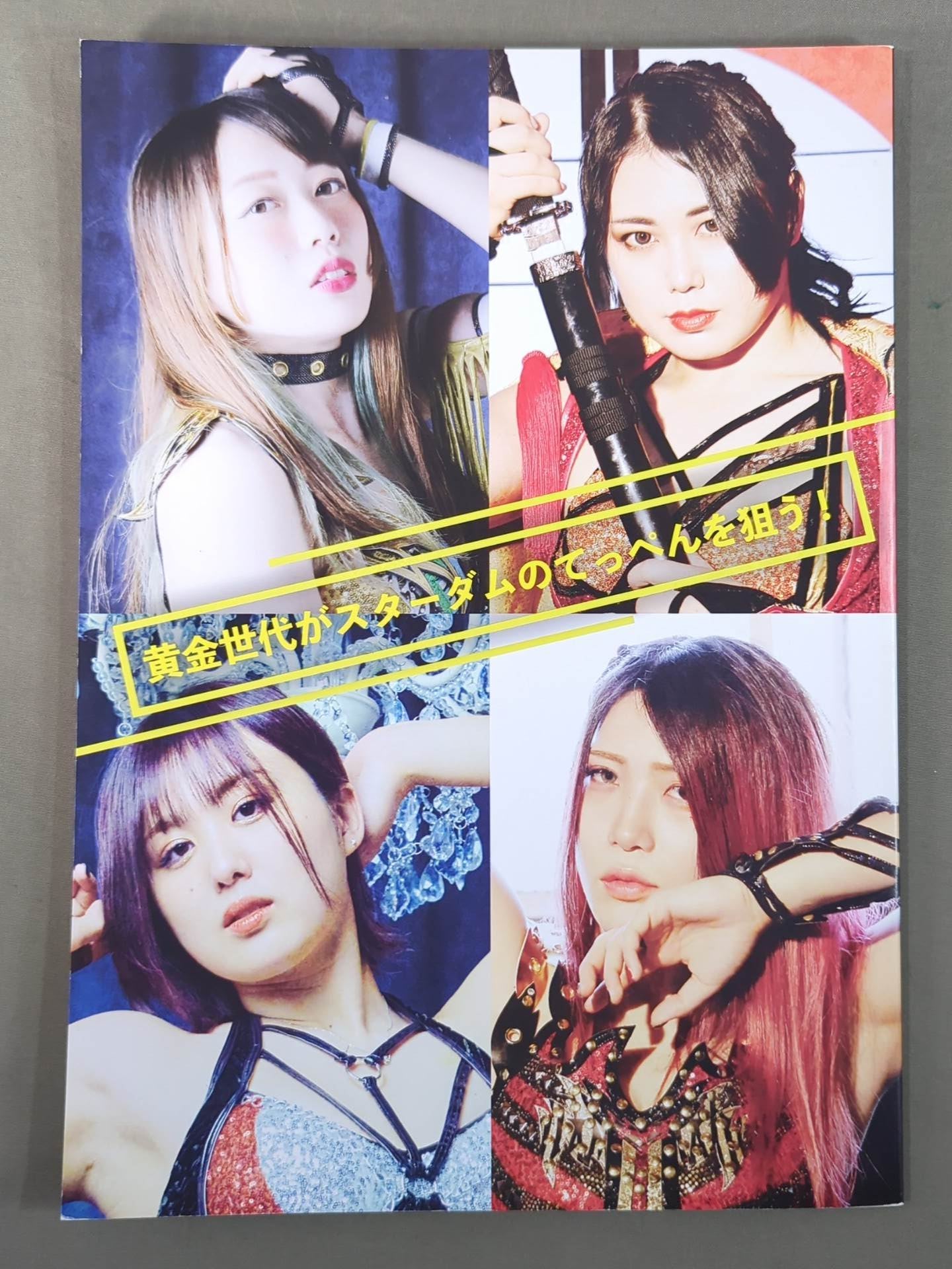 STARDOM OFFICIAL GUIDE BOOK Vol.137