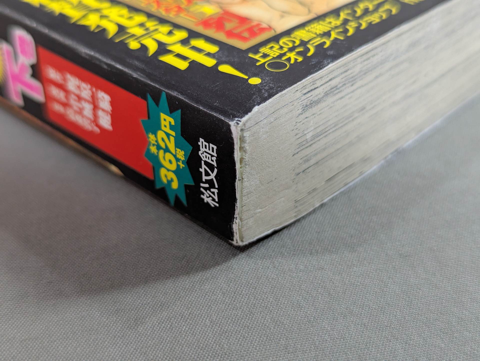 アントニオ猪木 格闘技世界一決定戦 四角いジャングル 下巻 – 闘道館