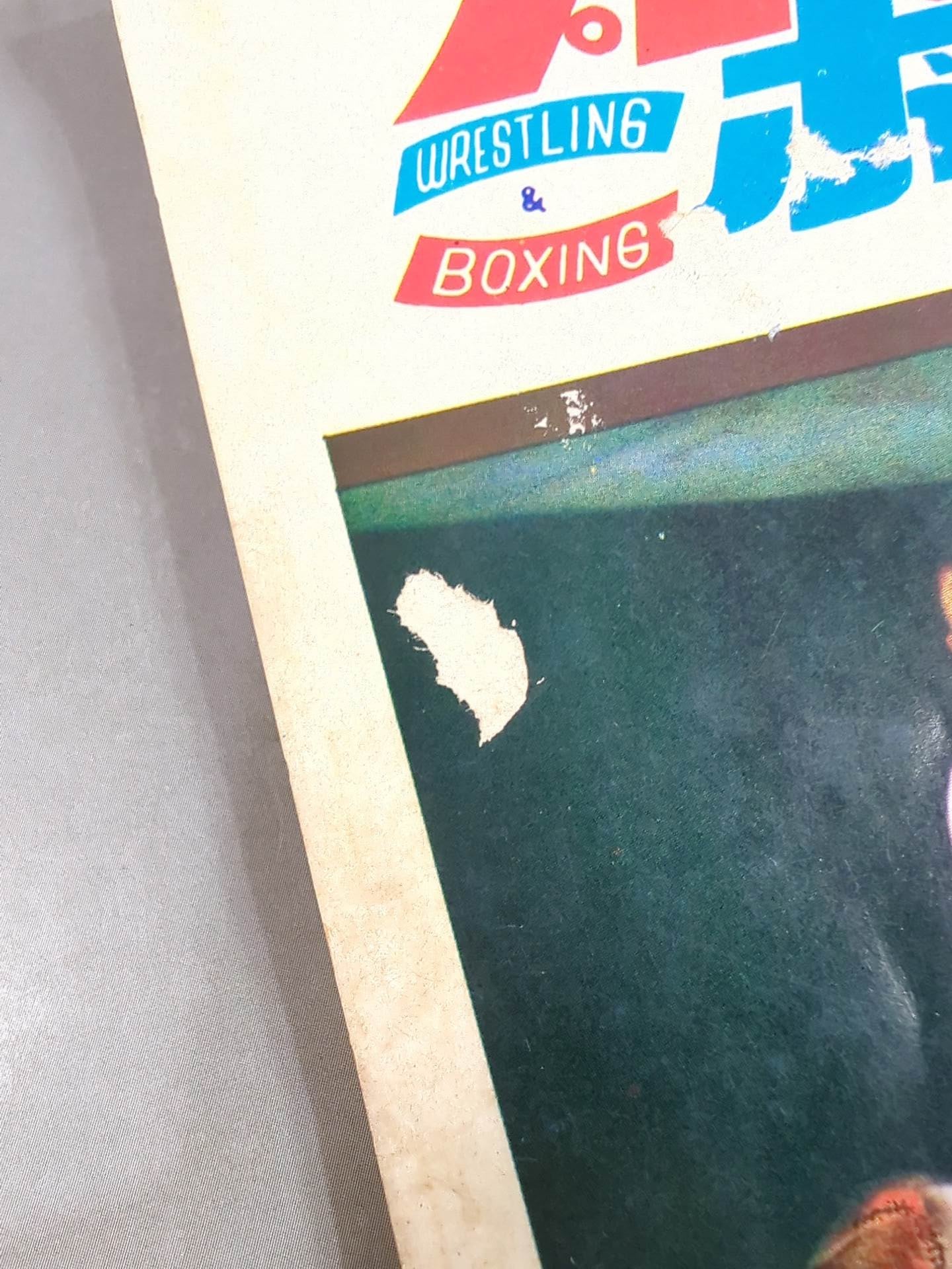 プロレス&ボクシング 1967年9月号増刊 – 闘道館