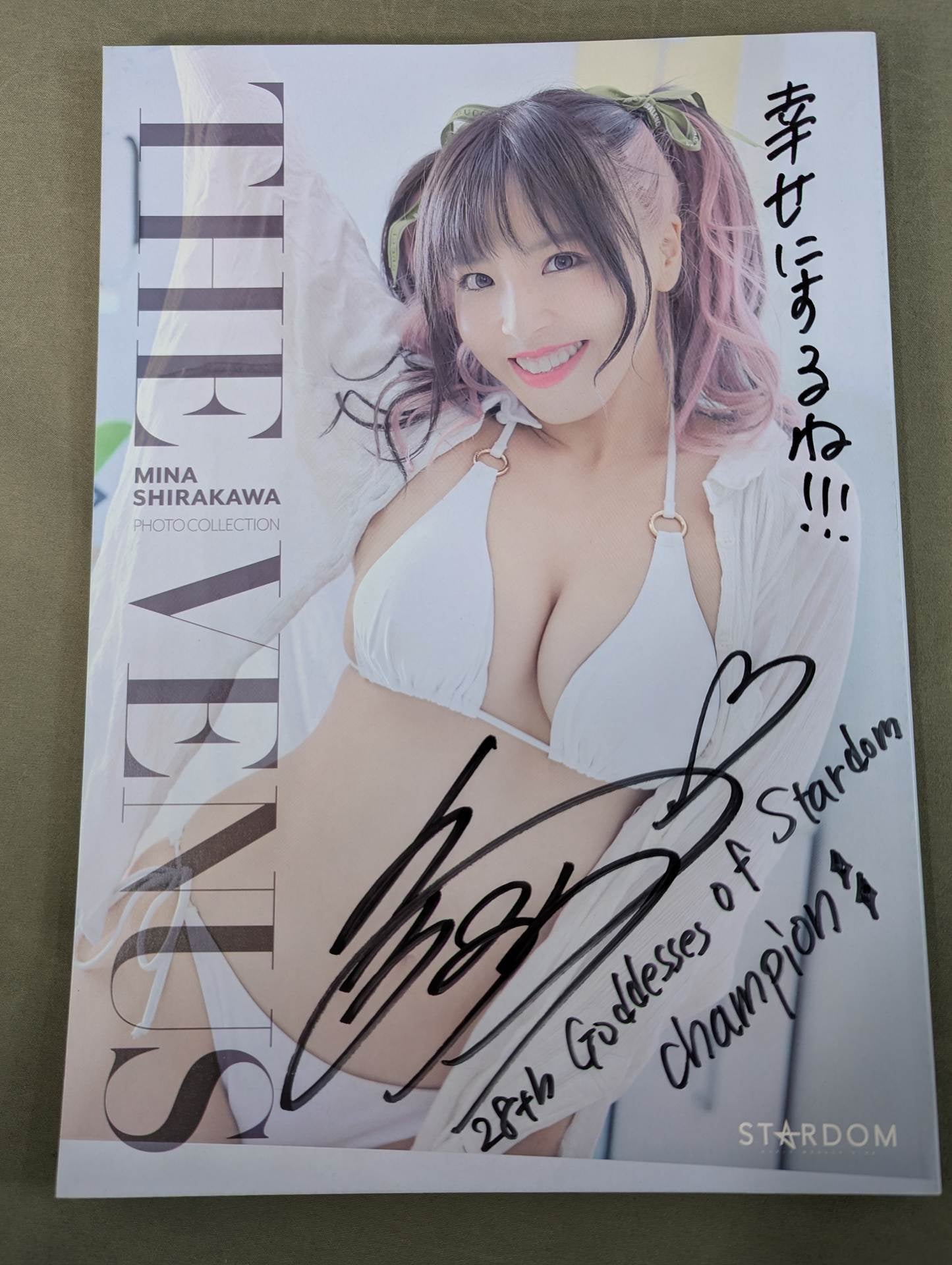 【直筆サイン入り】白川未奈 写真集 THE VENUS