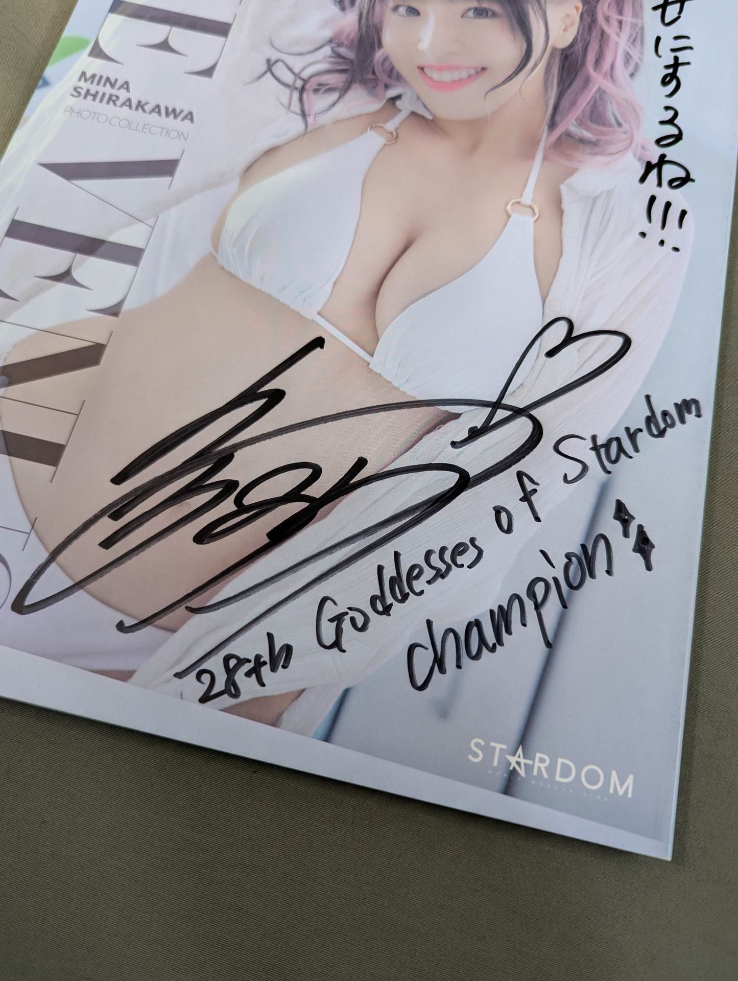 【直筆サイン入り】白川未奈 写真集 THE VENUS