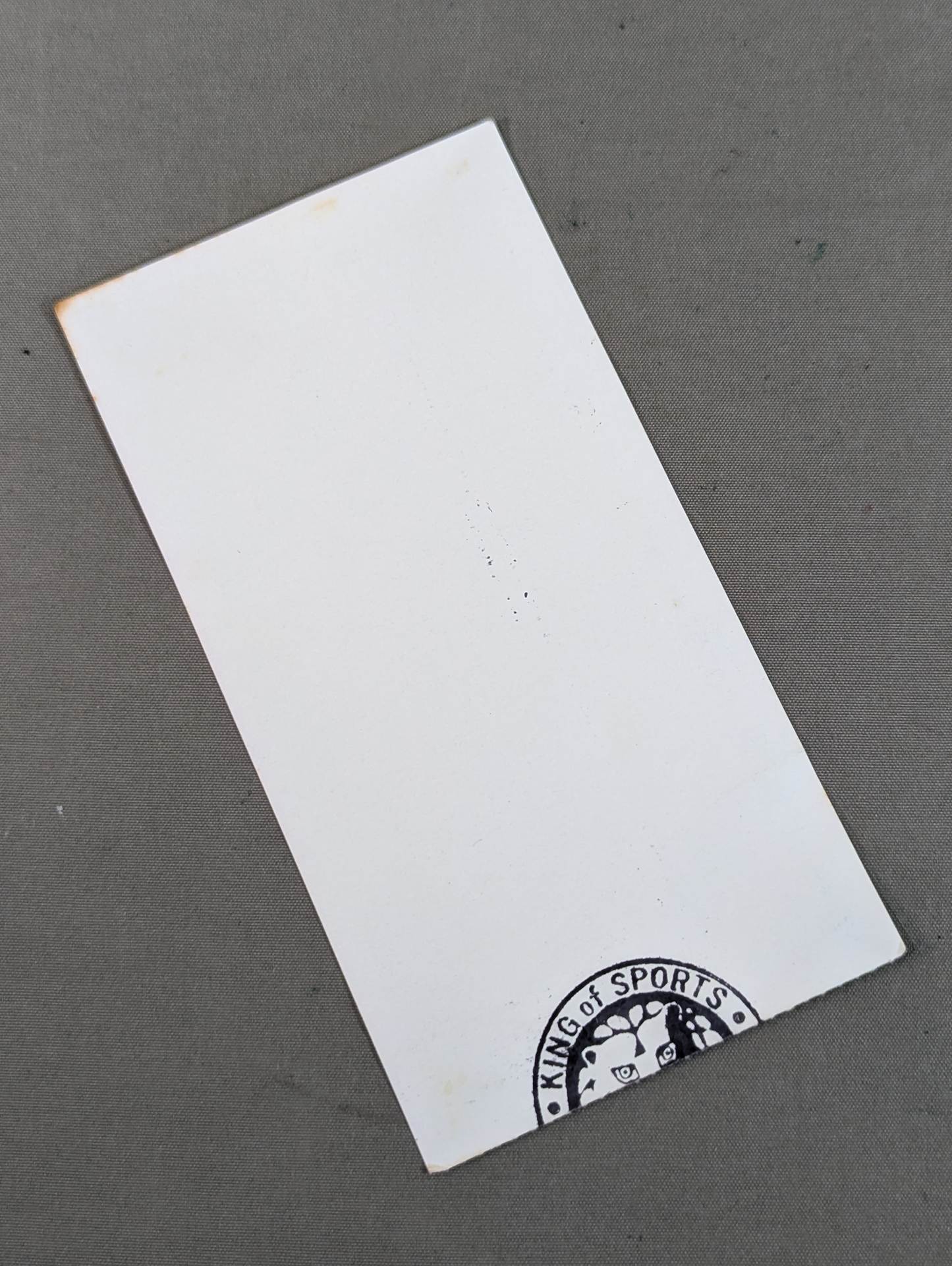 WRESTLING DONTAKU in FUKUOKA DOME – 闘道館