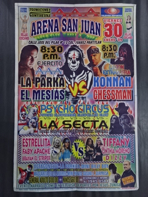 AAA January 30, 2009 Arena San Juan