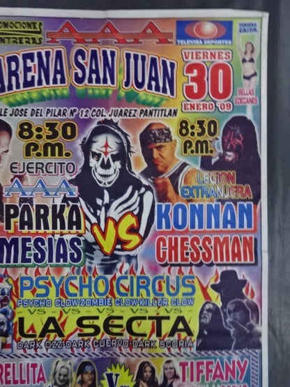 AAA January 30, 2009 Arena San Juan