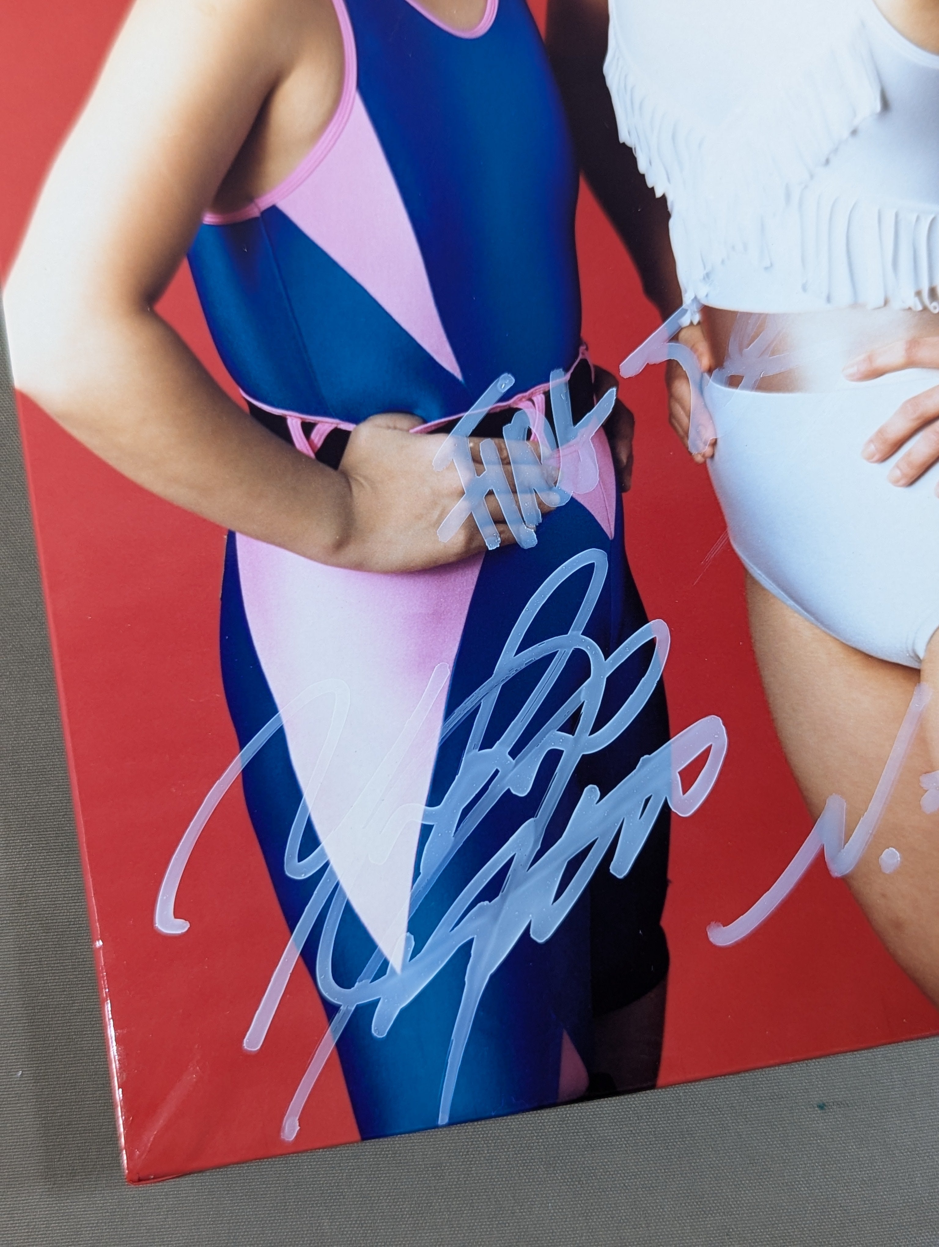 直筆サイン入り】ファイヤージェッツ 写真パネル – 闘道館