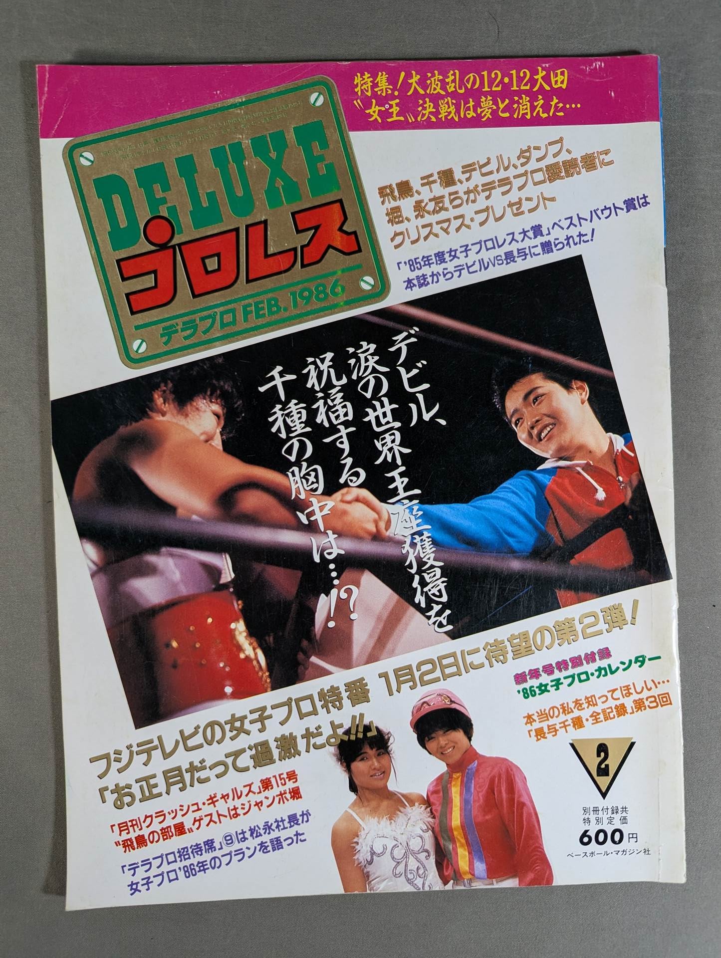 Deluxe Pro Wrestling February 1986 issue