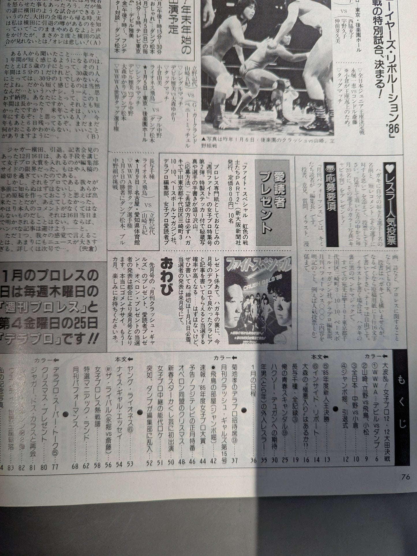 Deluxe Pro Wrestling February 1986 issue