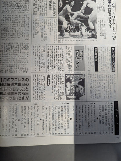 Deluxe Pro Wrestling February 1986 issue