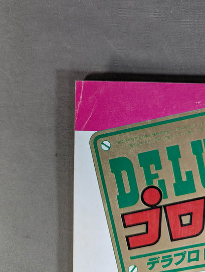 Deluxe Pro Wrestling February 1986 issue
