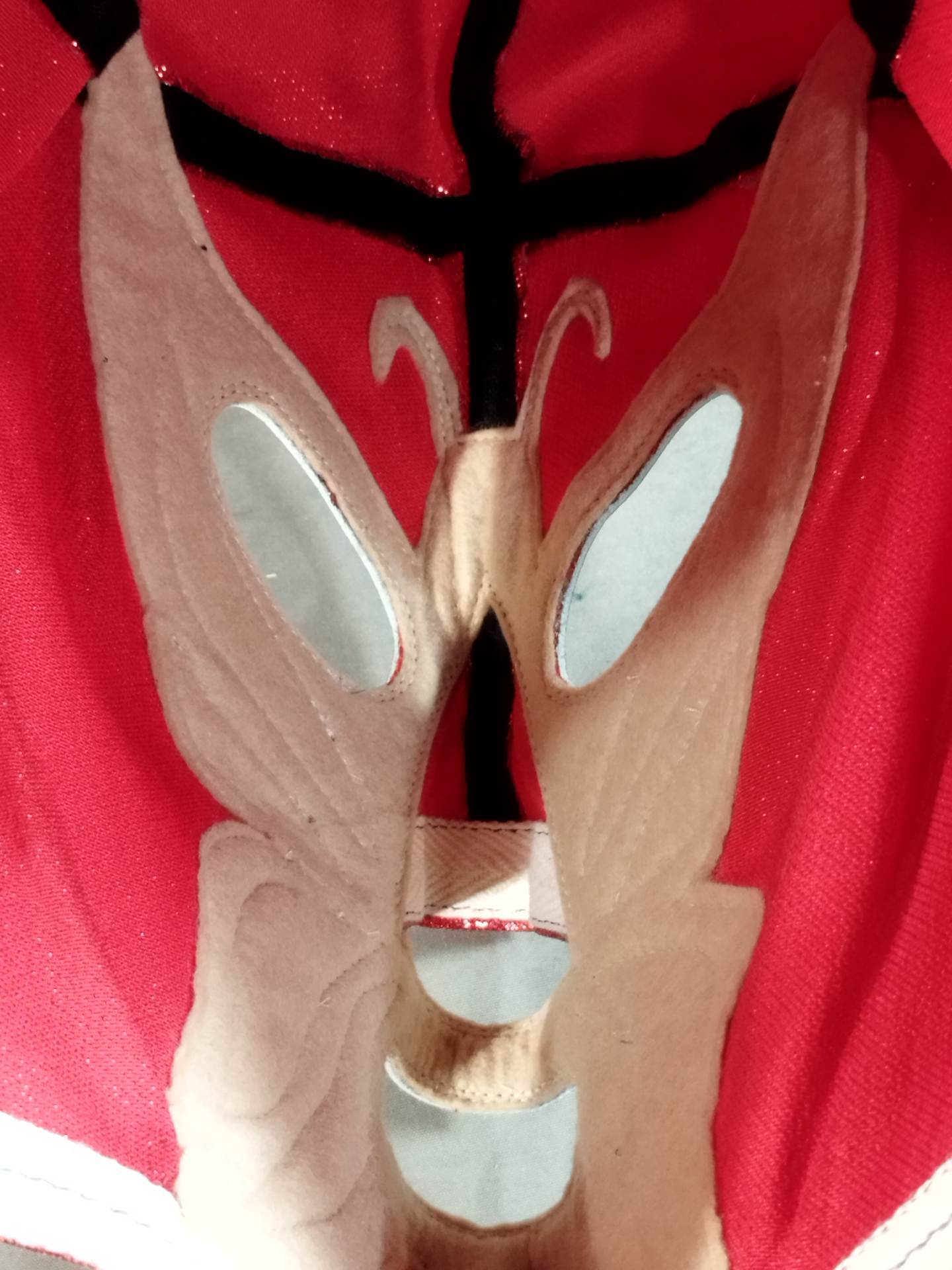 ミル・マスカラス – 闘道館