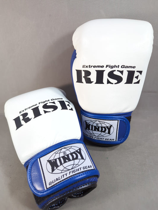 WINDY RISE Official Model Training Gloves
