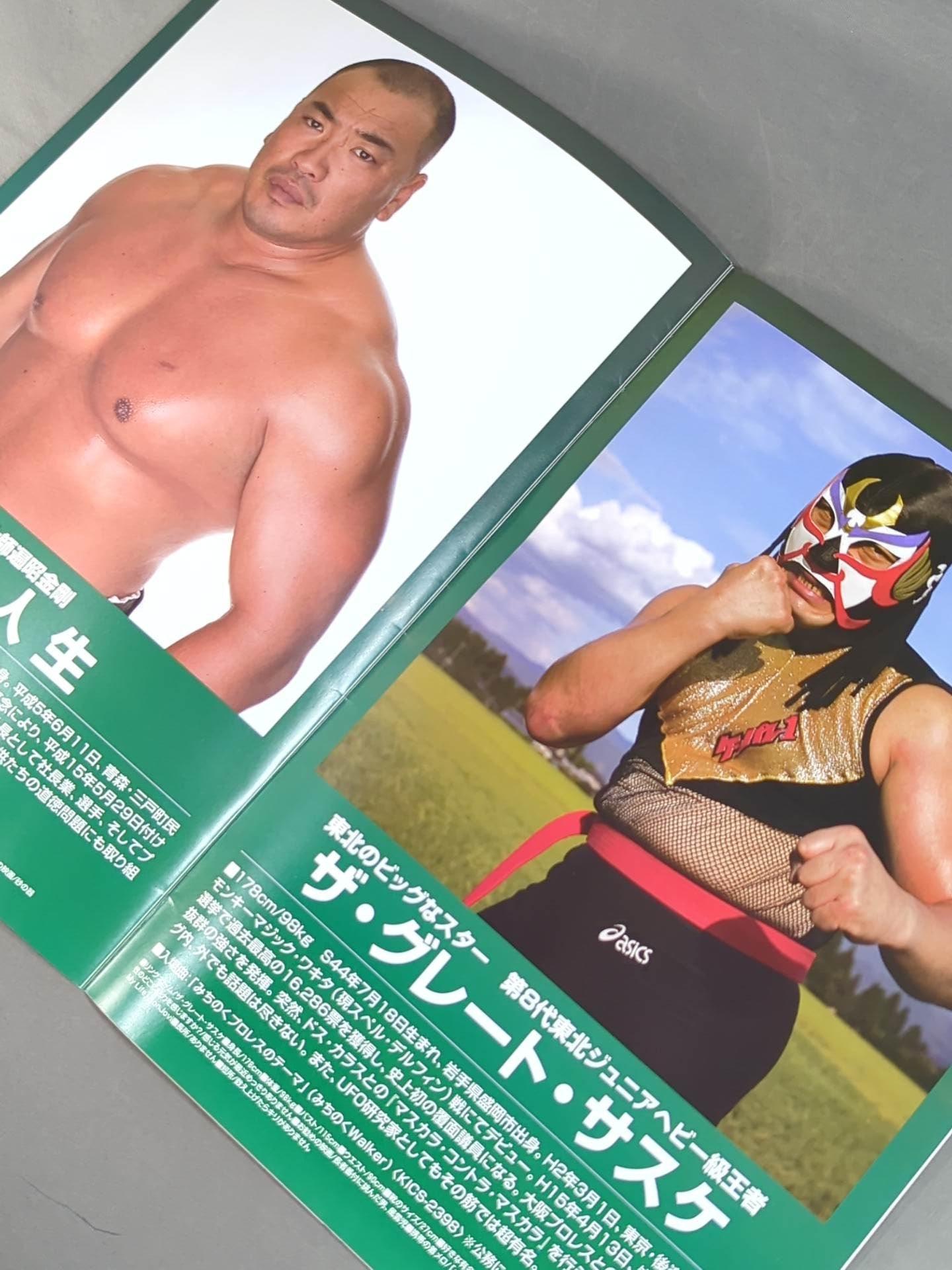 Michinoku Pro Wrestling  Official Brochure Vol.108