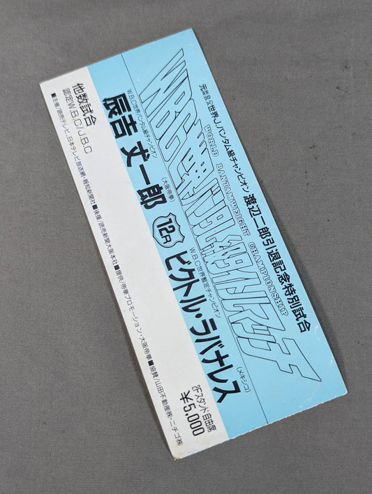 辰吉丈一郎vsビクトル・ラバナレス