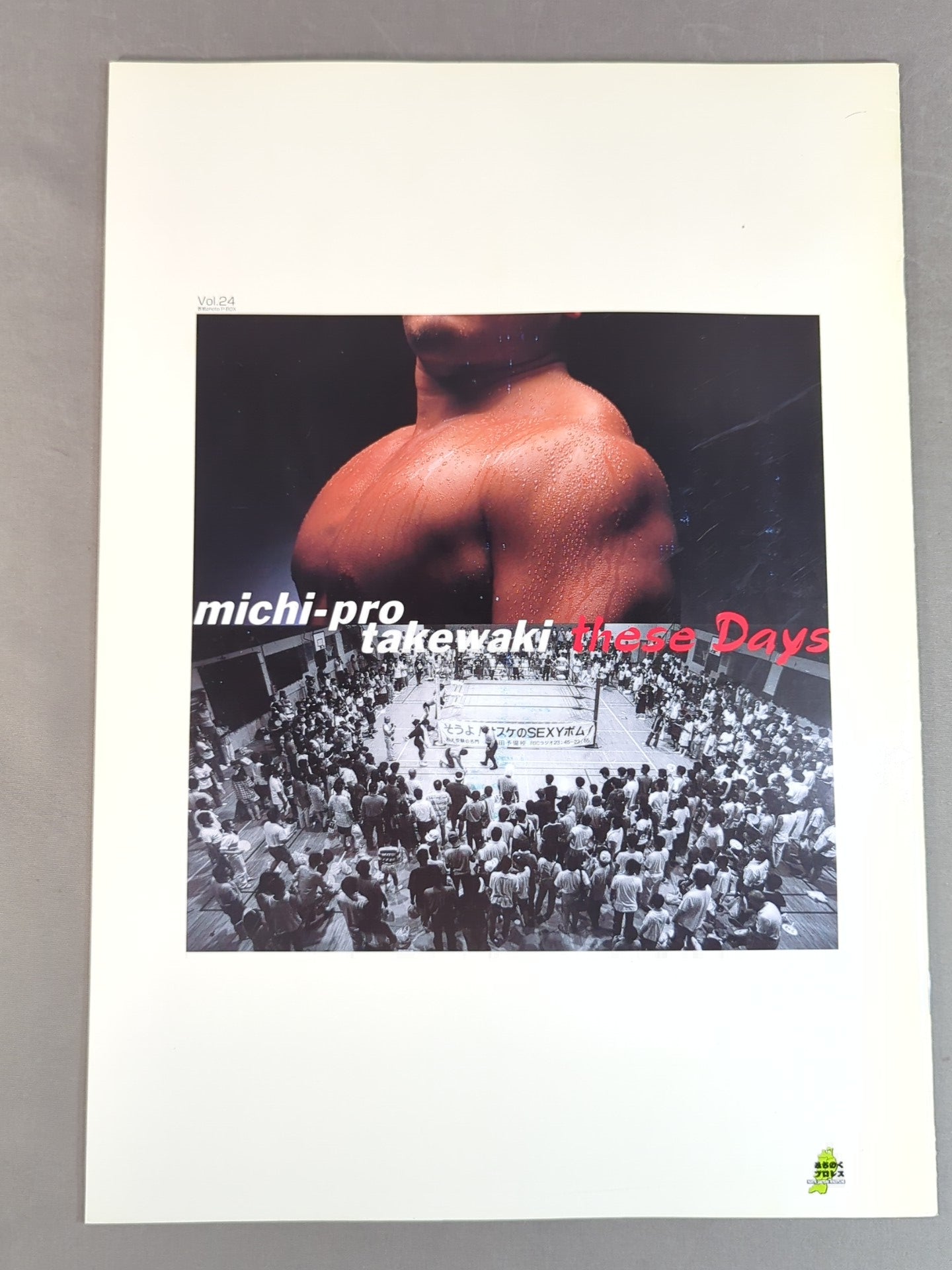 ★人生vsハヤブサ★ みちのくプロレス オフィシャルパンフレット Vol.24