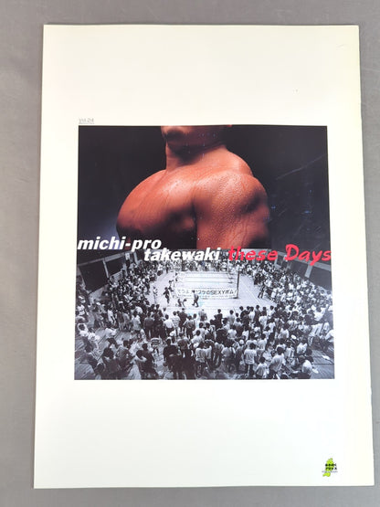 ★人生vsハヤブサ★ みちのくプロレス オフィシャルパンフレット Vol.24