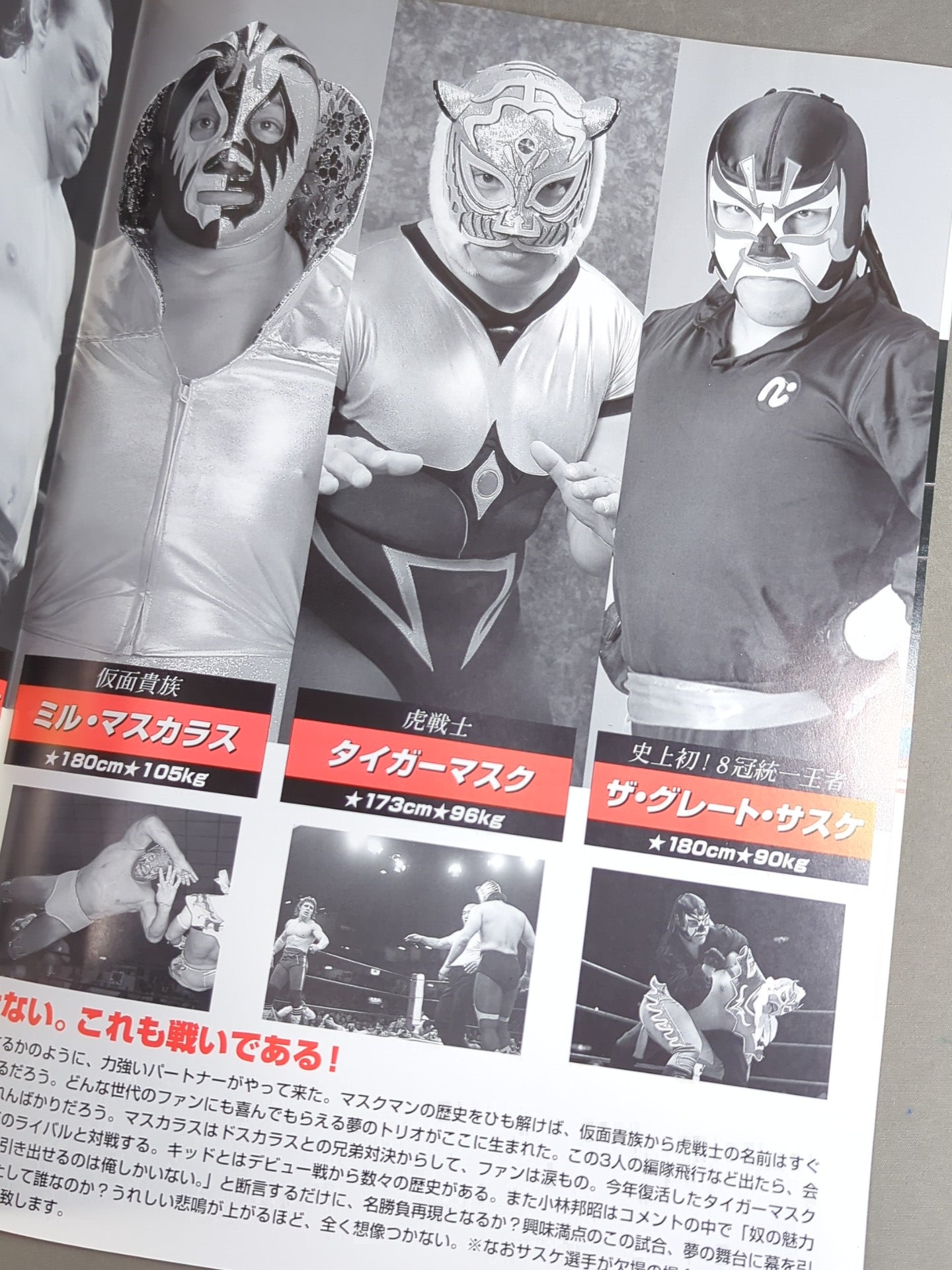 ★人生vsハヤブサ★ みちのくプロレス オフィシャルパンフレット Vol.24
