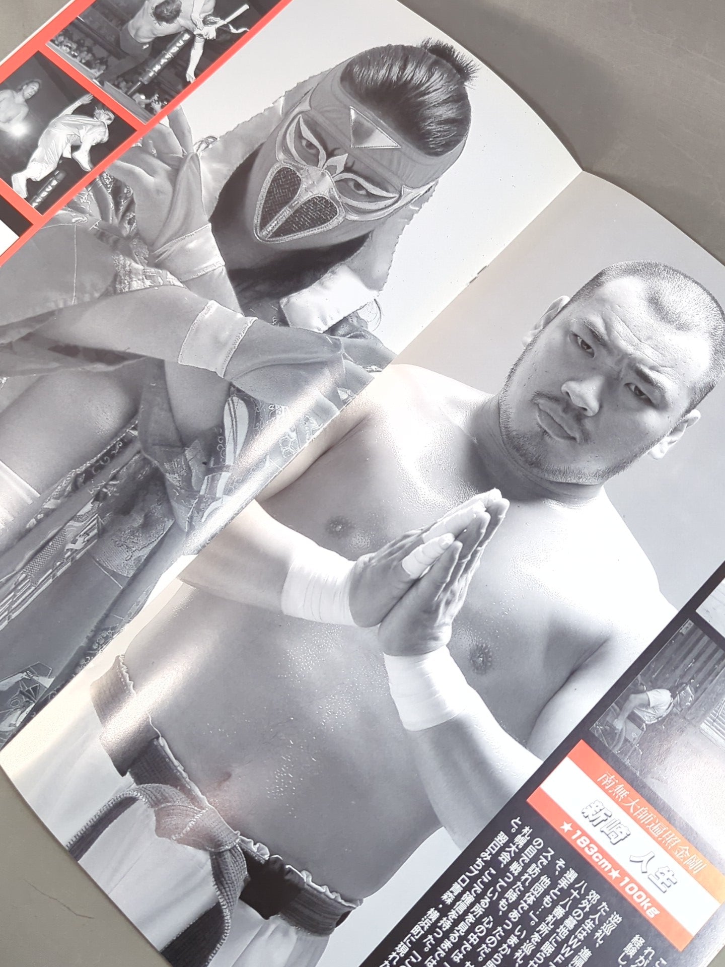 ★人生vsハヤブサ★ みちのくプロレス オフィシャルパンフレット Vol.24