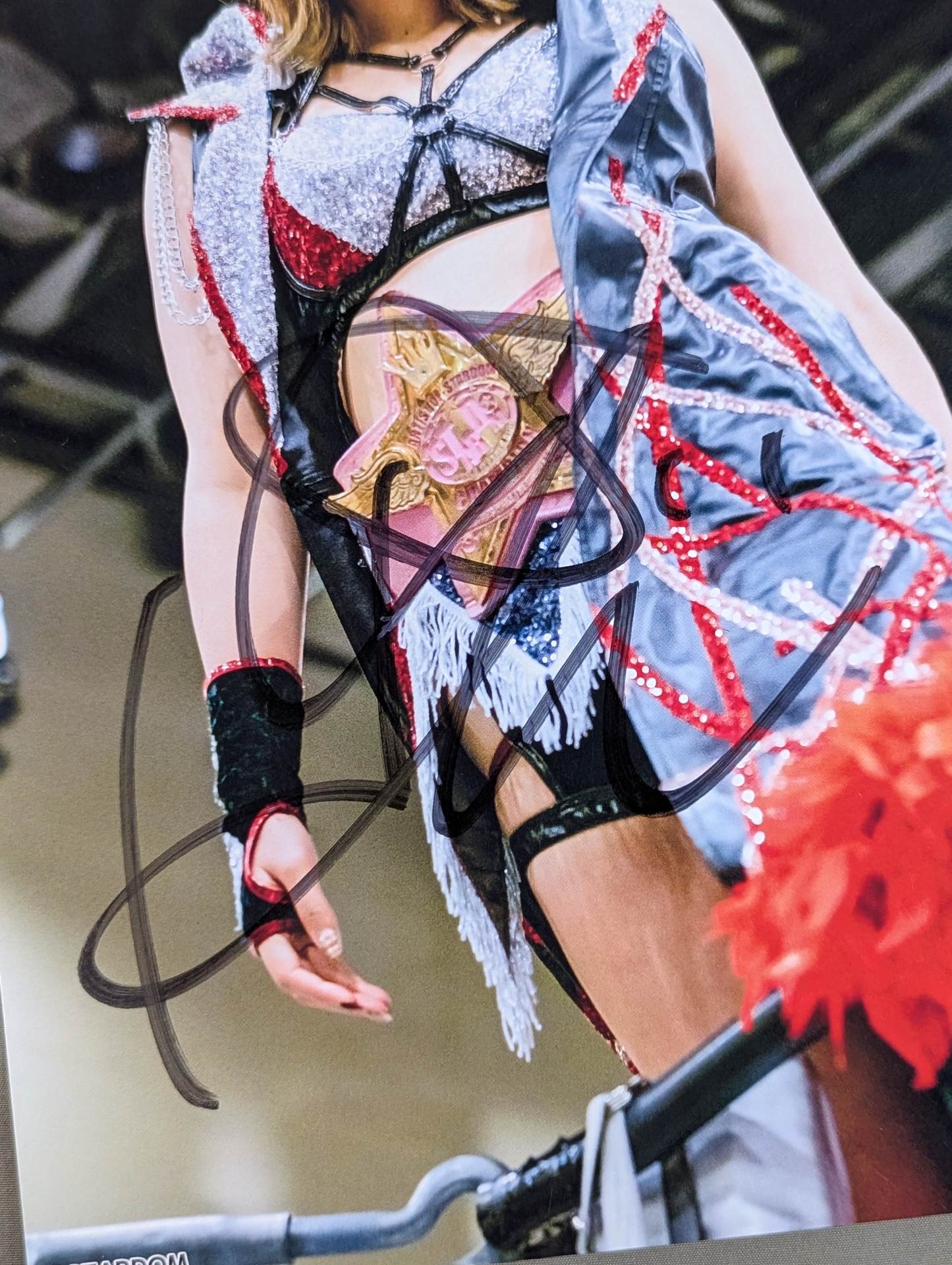 ひめか 直筆サイン入り スターダムポートレート(Q-5) – 闘道館