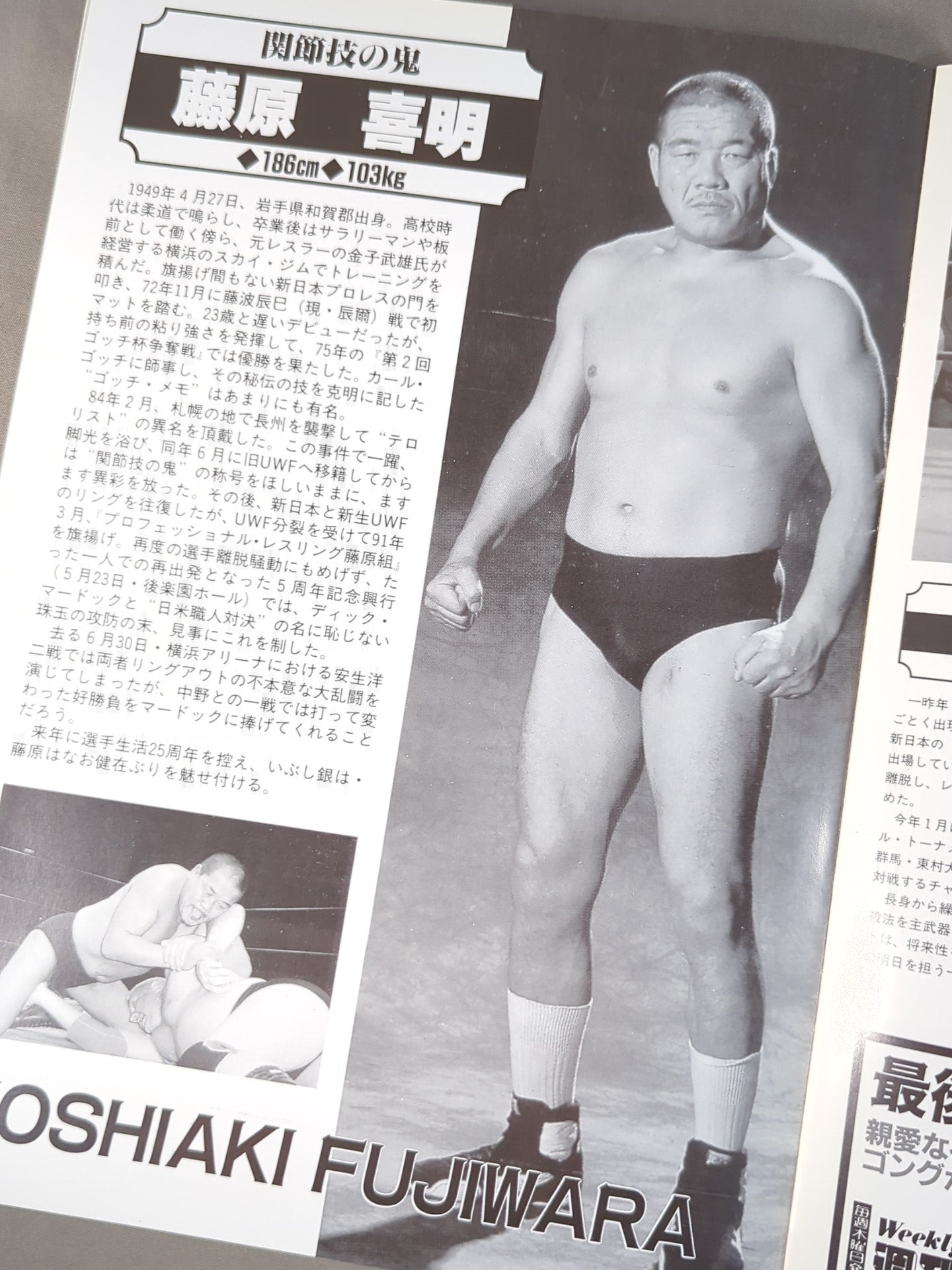 fuwarifuwariです。 Yoshiaki Fujiwara and his wrestler friends 2 We Love Murdoch