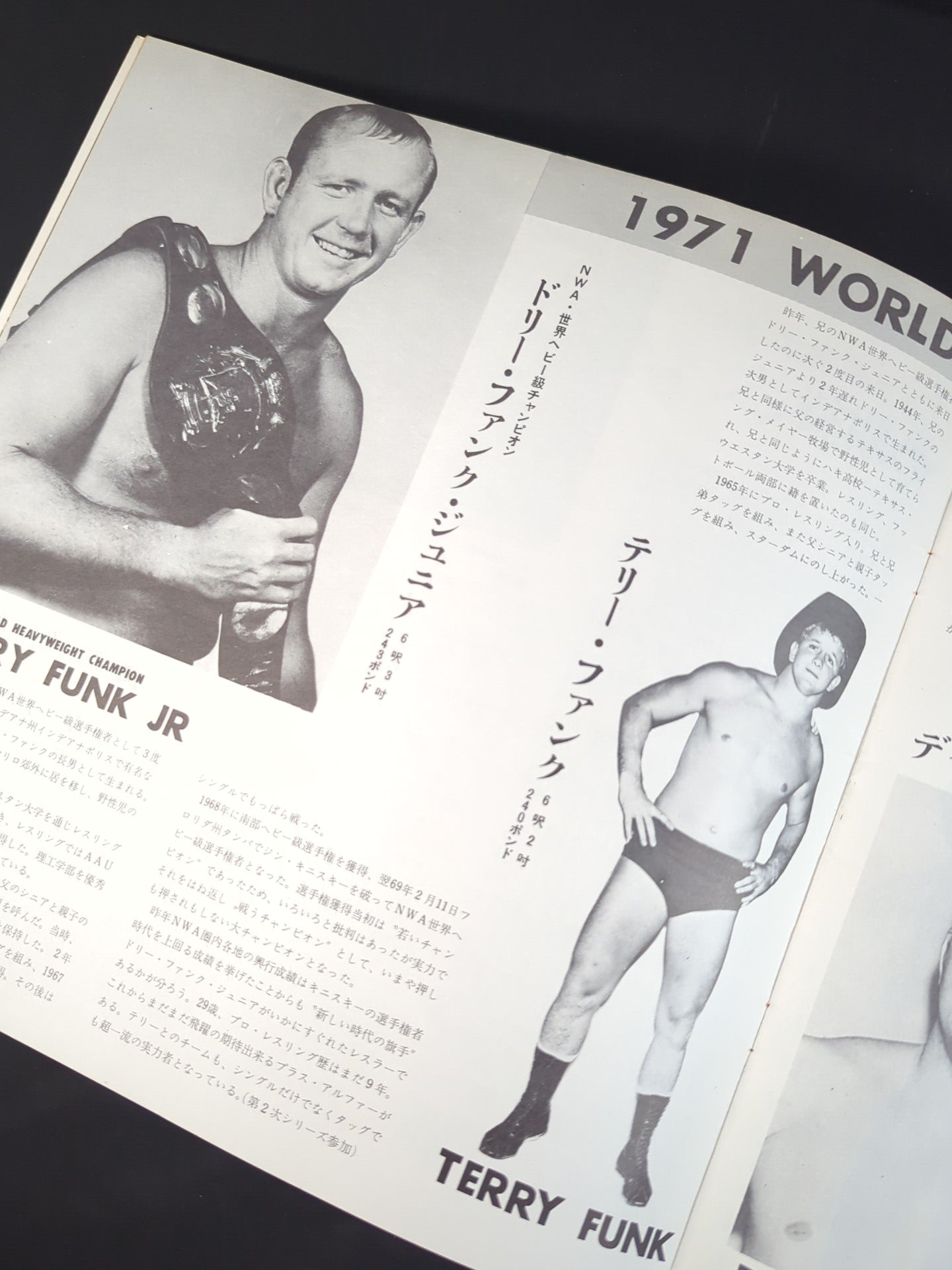 71年ワールドチャンピオンシリーズ パンフレット ☆馬場vsテリー インター選手権試合☆ 71ワールド・チャンピオン