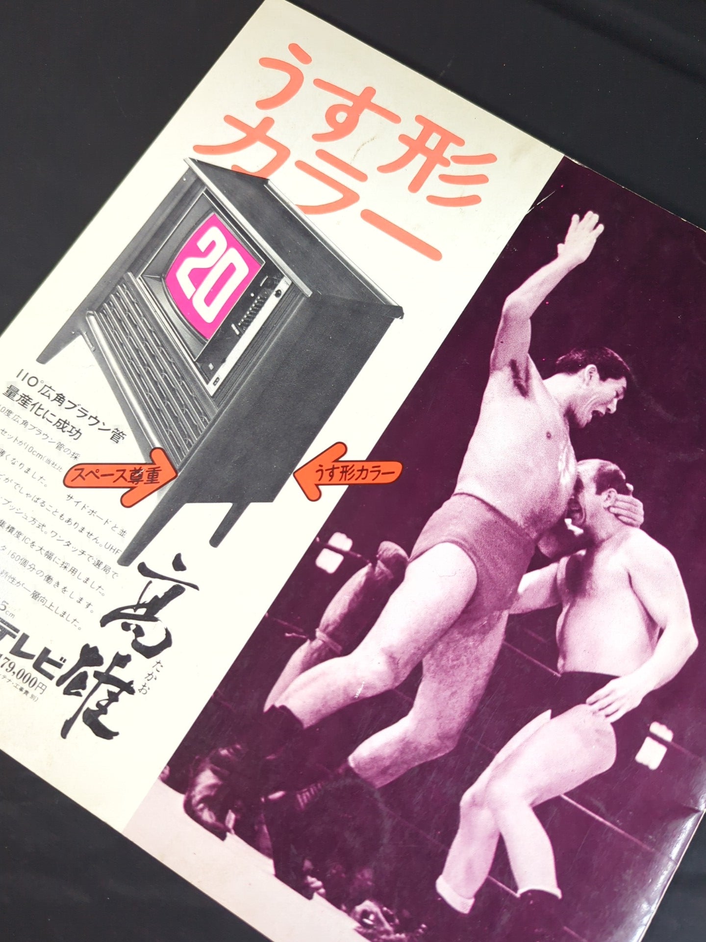 71年ワールドチャンピオンシリーズ パンフレット ☆馬場vsテリー インター選手権試合☆ 71ワールド・チャンピオン