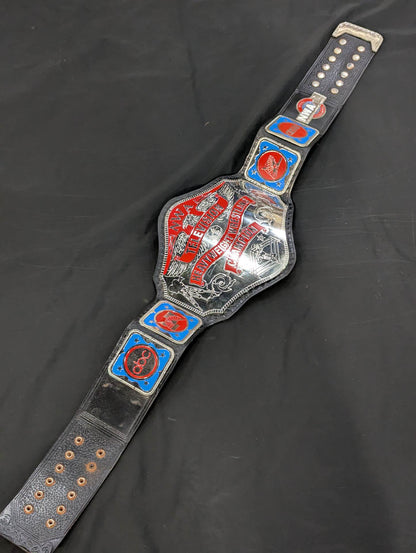NWA World TV Title Belt