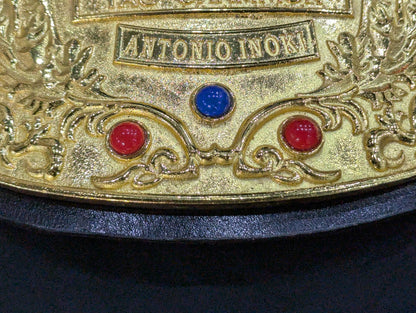 NWA North American Tag Team Championship Belt