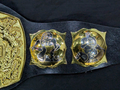 NWA North American Tag Team Championship Belt