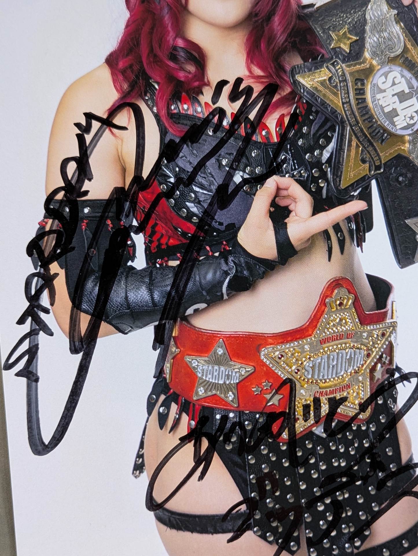 林下詩美 直筆サイン入り スターダムポートレート(T-3) – 闘道館