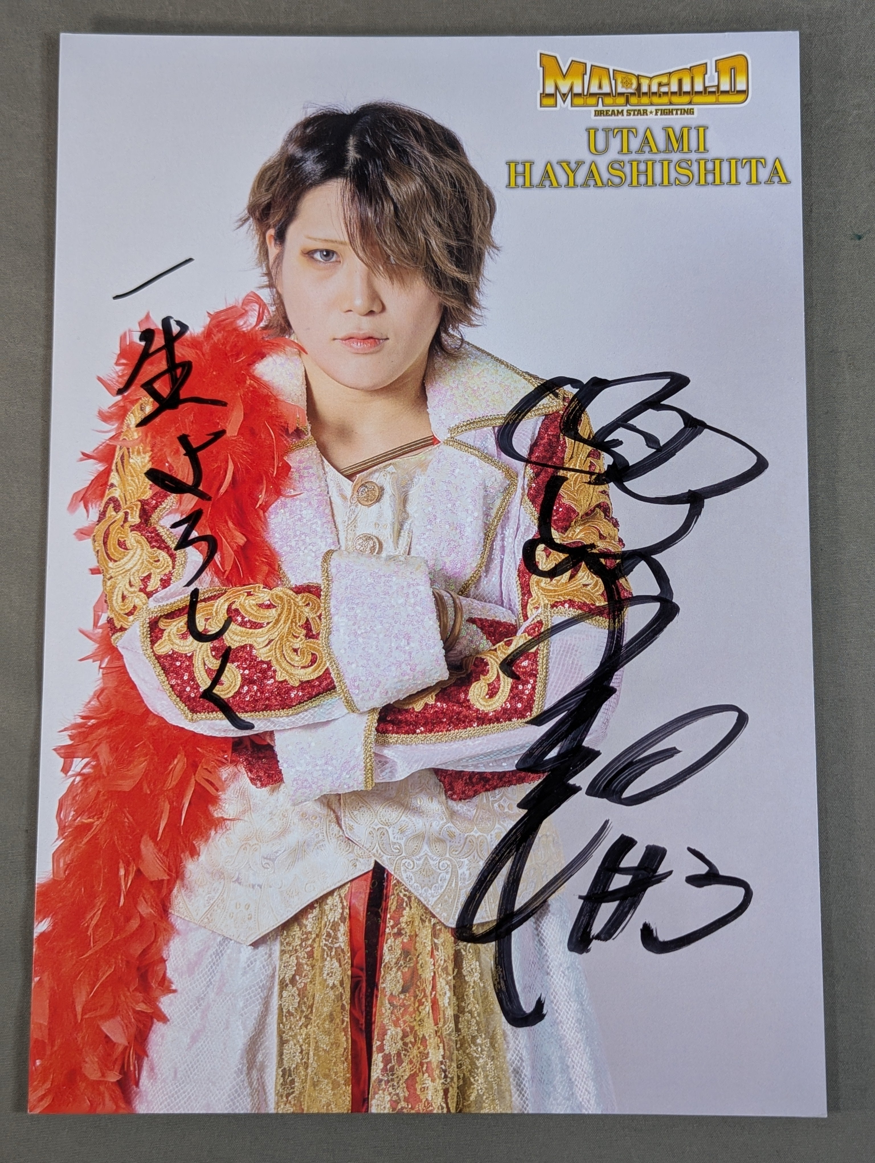 林下詩美 直筆サイン入りポートレート(A-8) – 闘道館