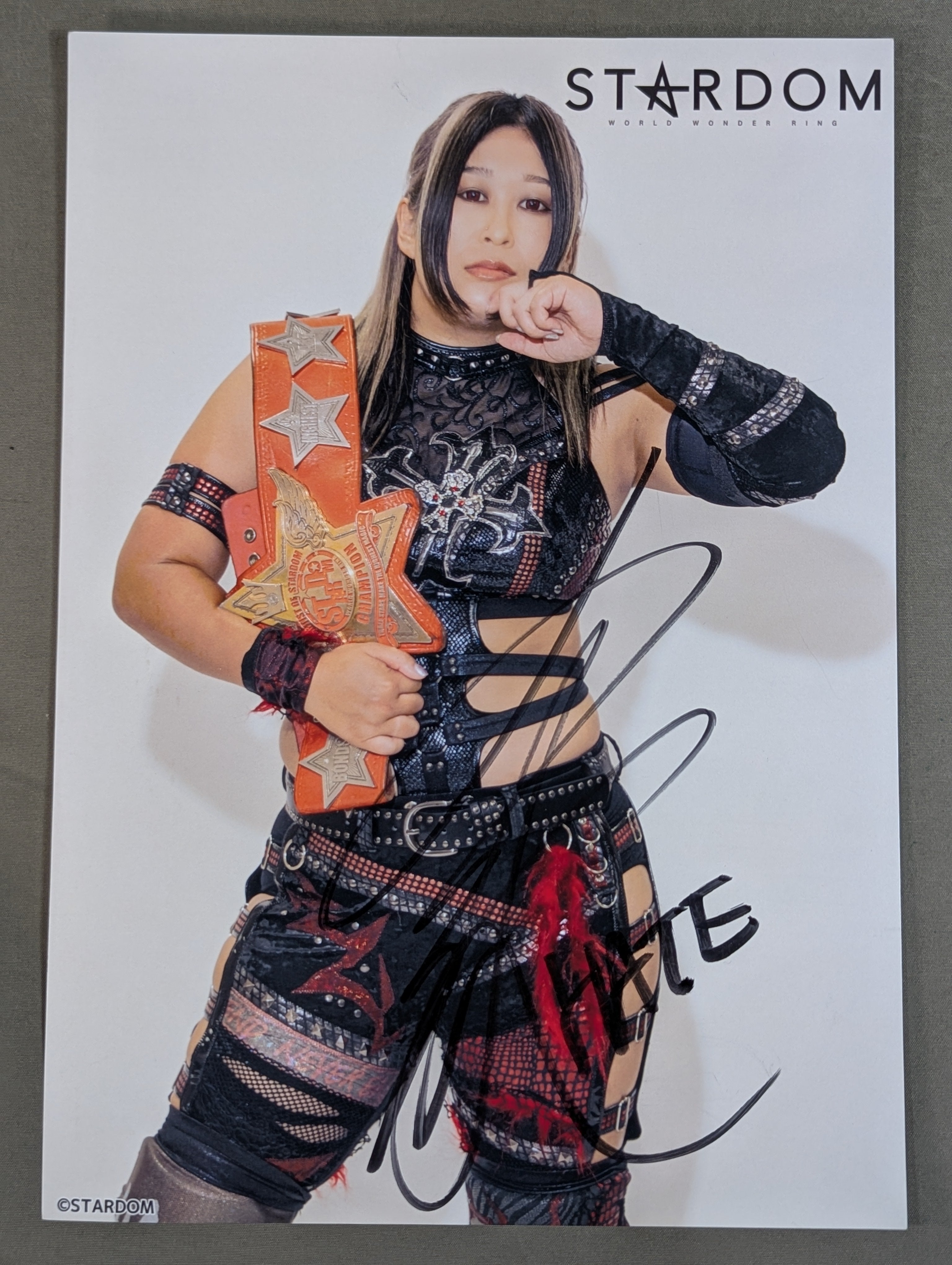 小波 直筆サイン入り スターダム ポートレート(F-6) – 闘道館