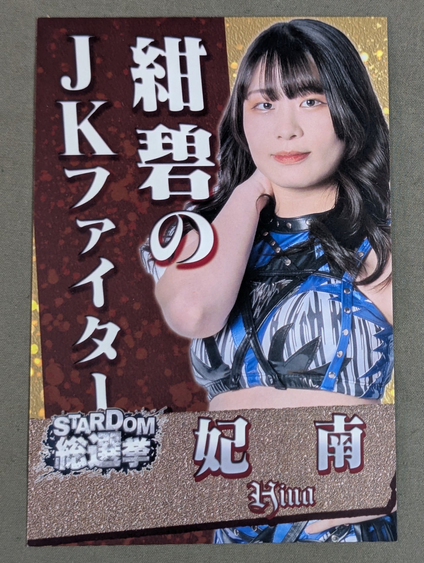 HINA  Stardom General Election Postcard