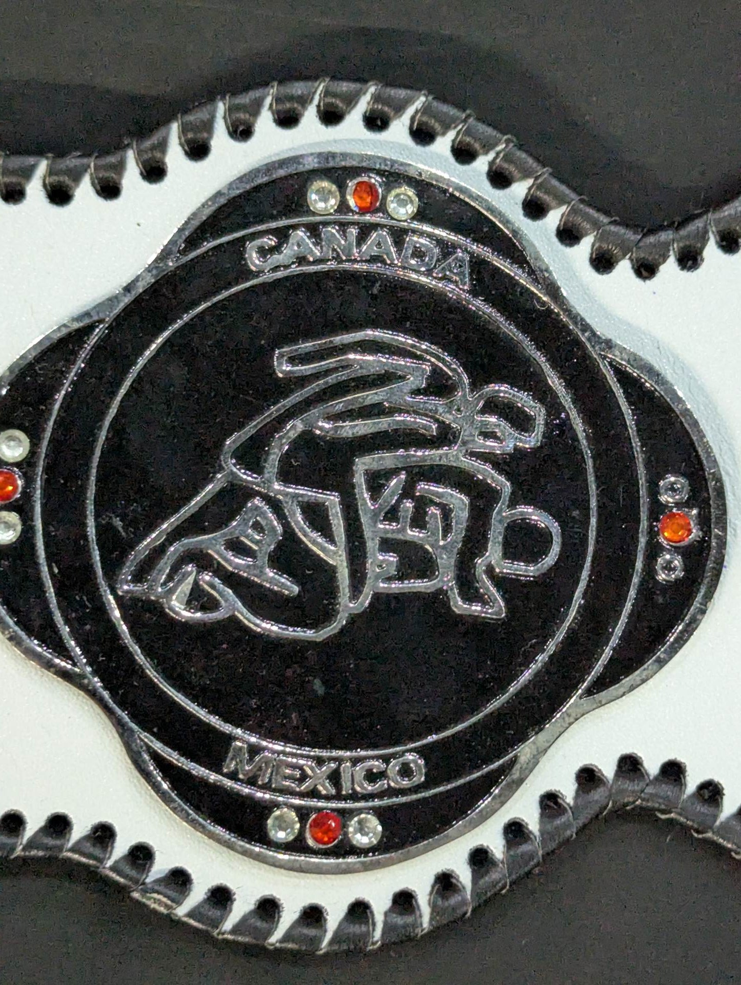 NWA世界ジュニアヘビー級王座チャンピオンベルト – 闘道館