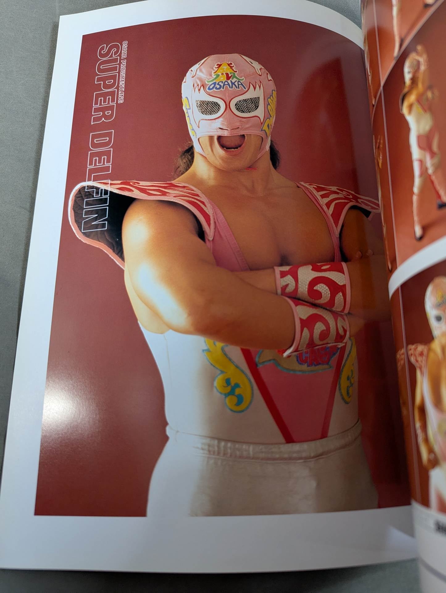 直筆サイン入り】大阪物語 SUPER DELFIN – 闘道館