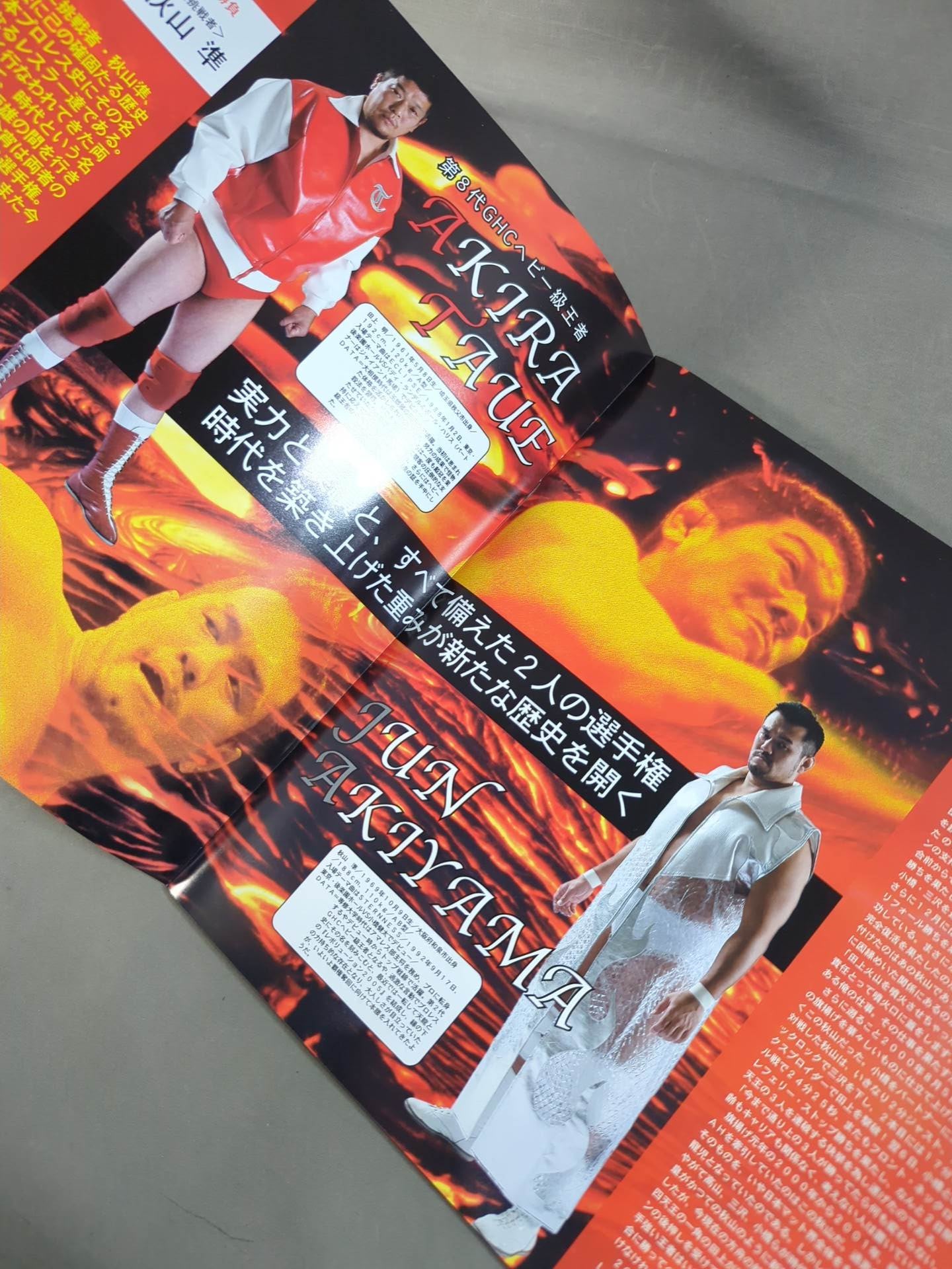 2006 The First Navigation / Japan Budokan Tournament