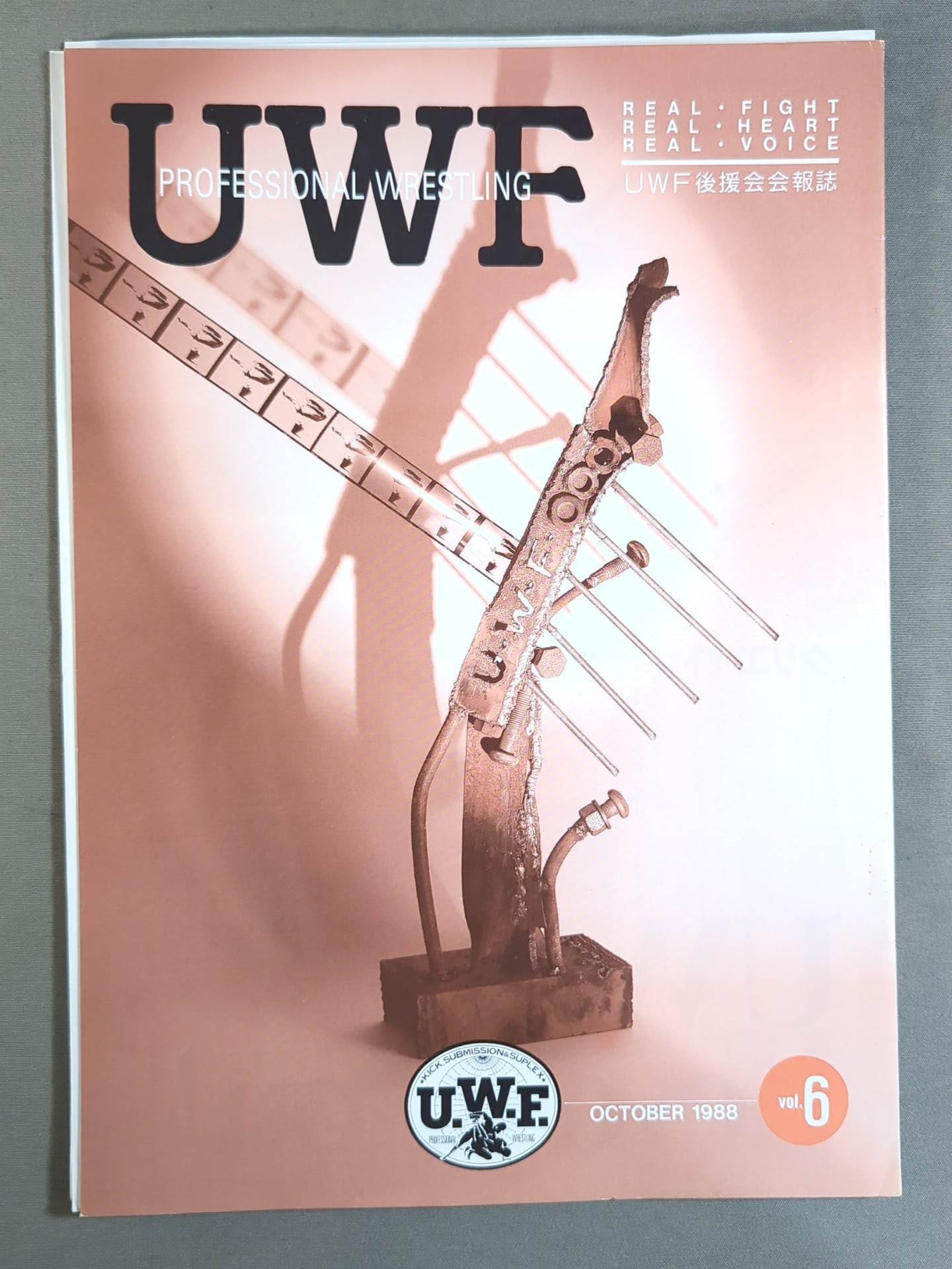 UWF Supporters Association Newsletter vol.6