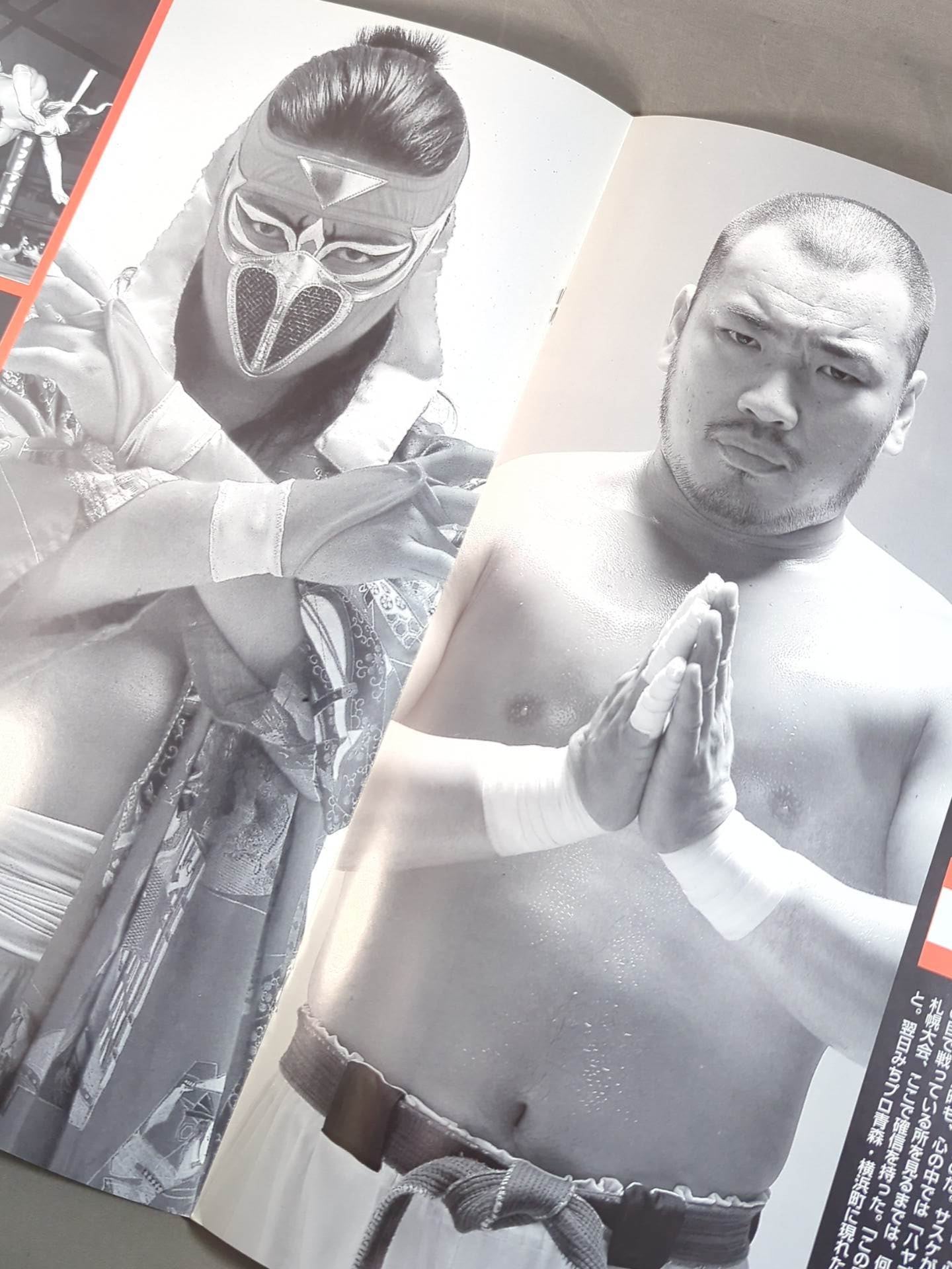 ★ Life vs HAYABUSA ★ Michinoku Pro Wrestling  Official Brochure Vol.24