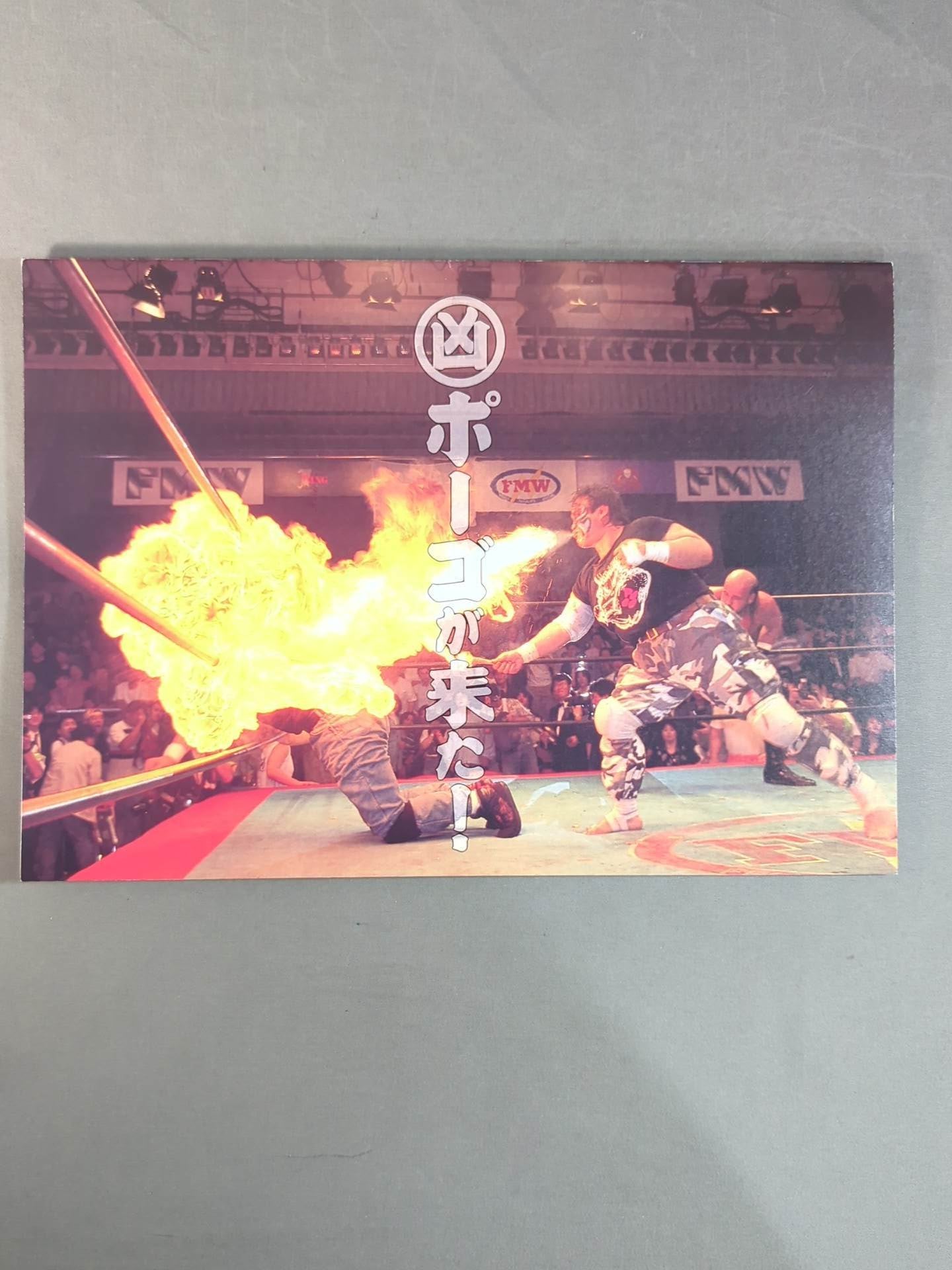 みちのくプロレス オフィシャルパンフレット Vol.17 – 闘道館