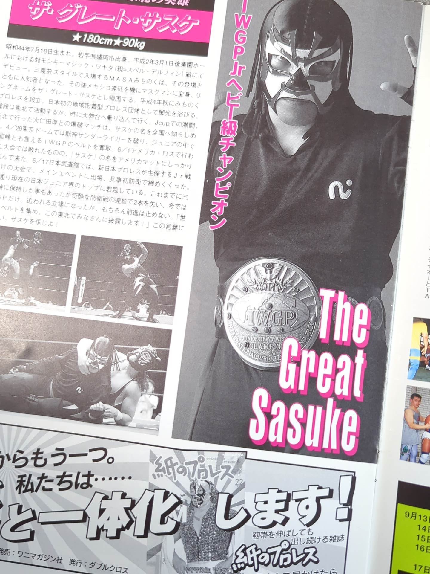 Michinoku Pro Wrestling  Official Brochure Vol.22