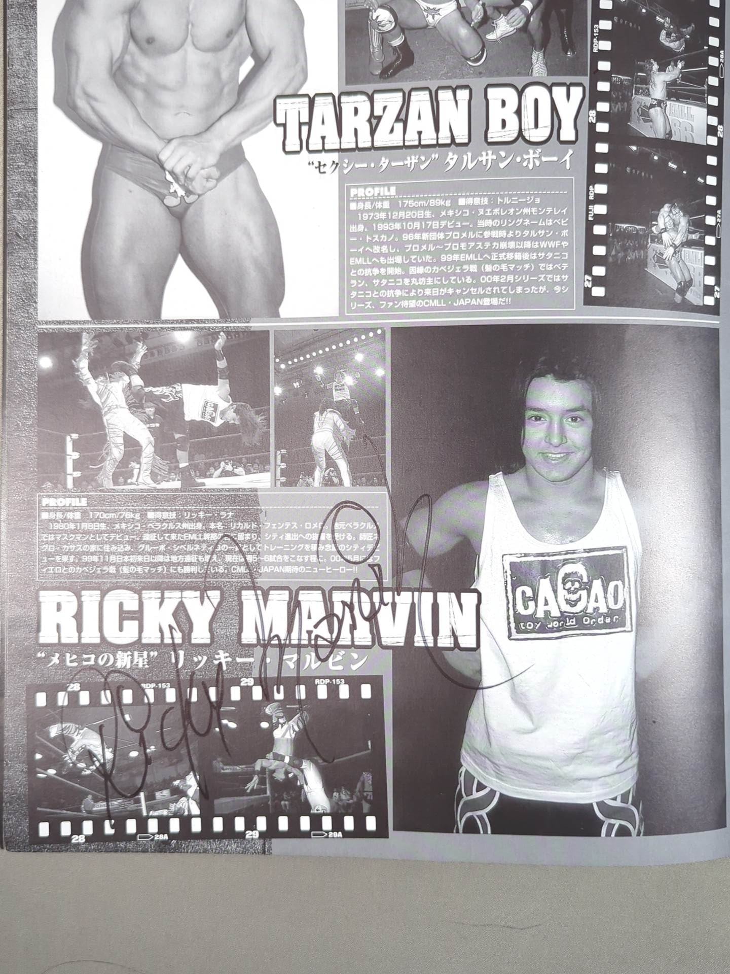 2選手直筆サイン入り】SKY HIGH 2000 / スカイハイ ドスミル – 闘道館