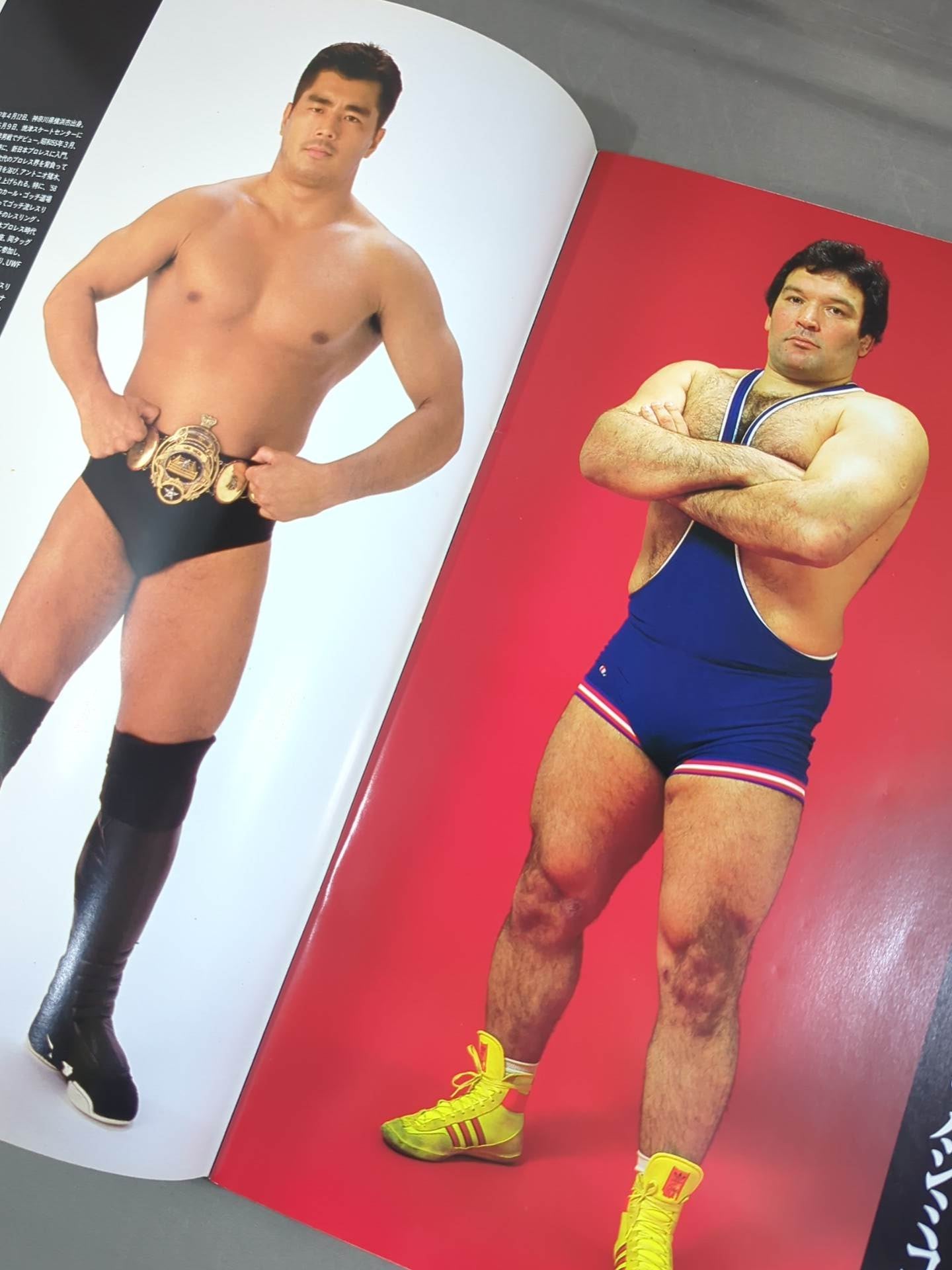 ★高田延彦vsハシミコフ★ PRO-WRESTLING WORLD HEAVY WEIGHT CHAMPIONSHIP