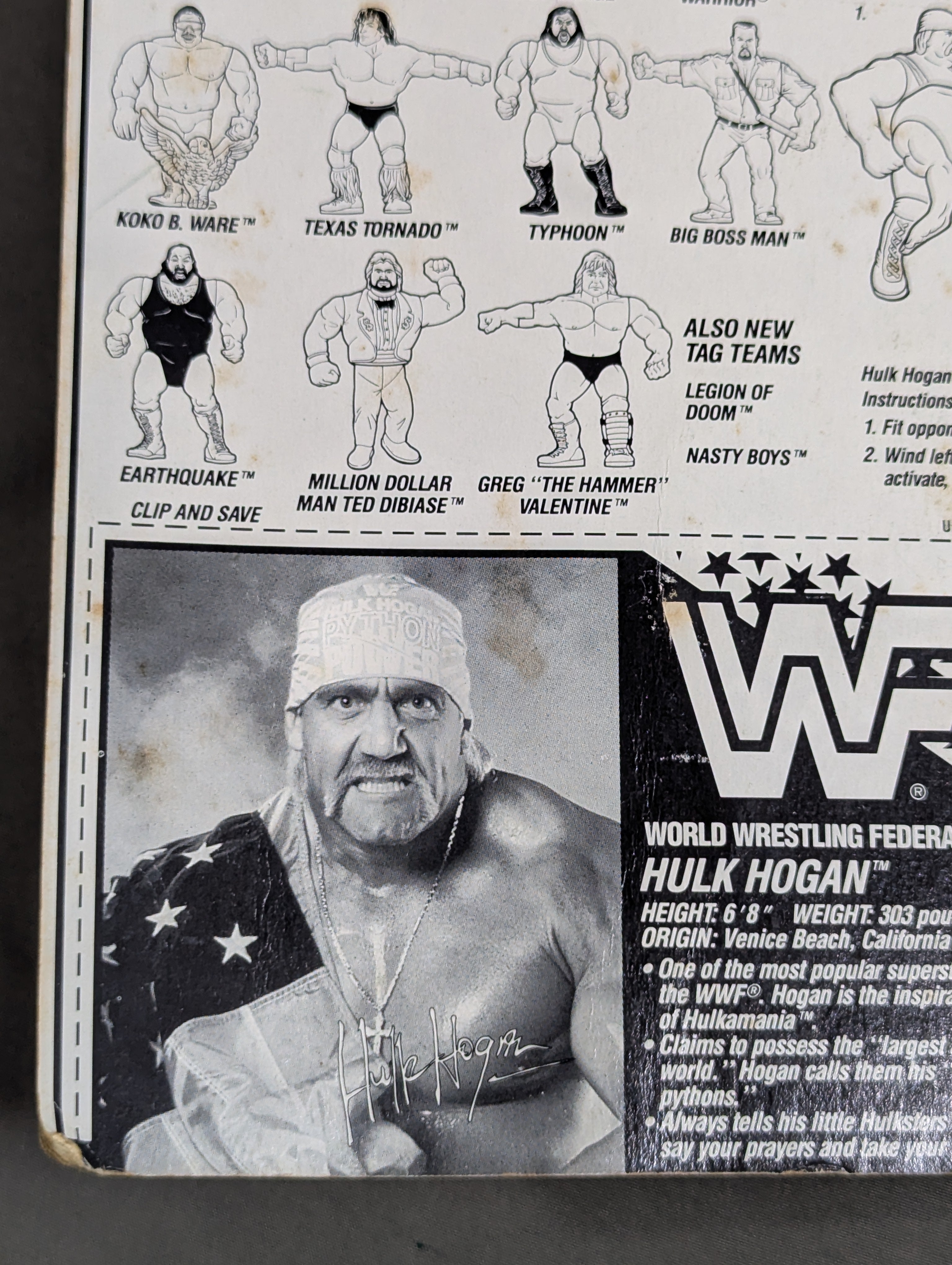 ハルク・ホーガン(シリーズ5) – 闘道館