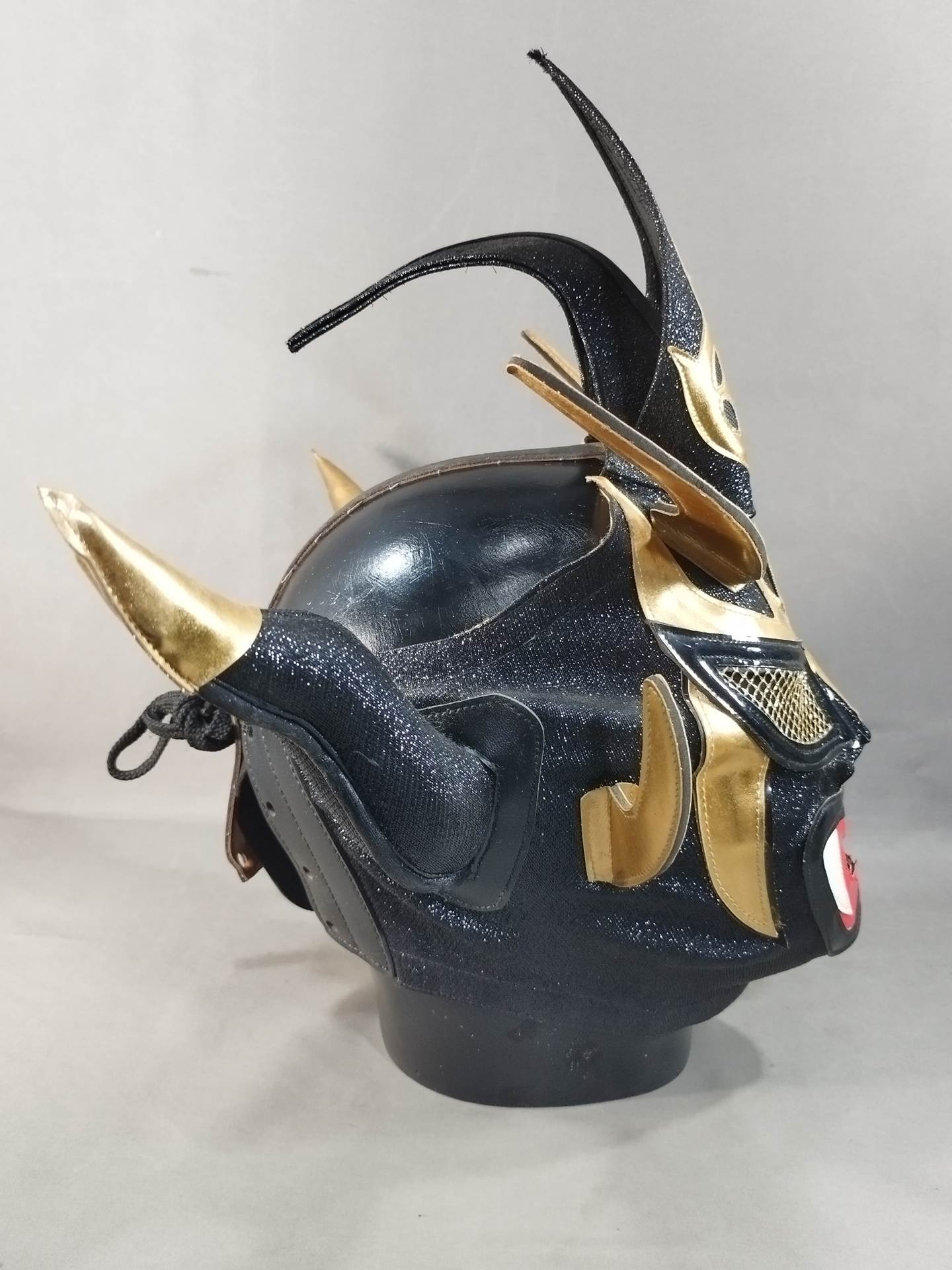 獣神サンダー・ライガー – 闘道館