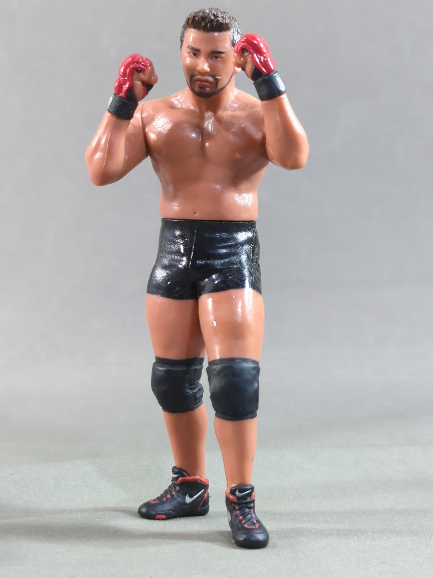 Shinsuke Nakamura