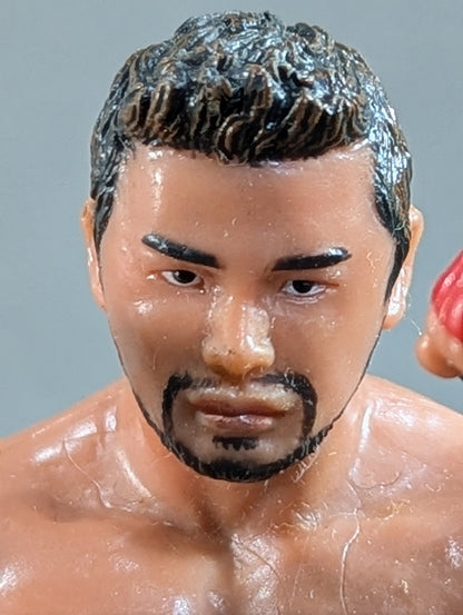 Shinsuke Nakamura