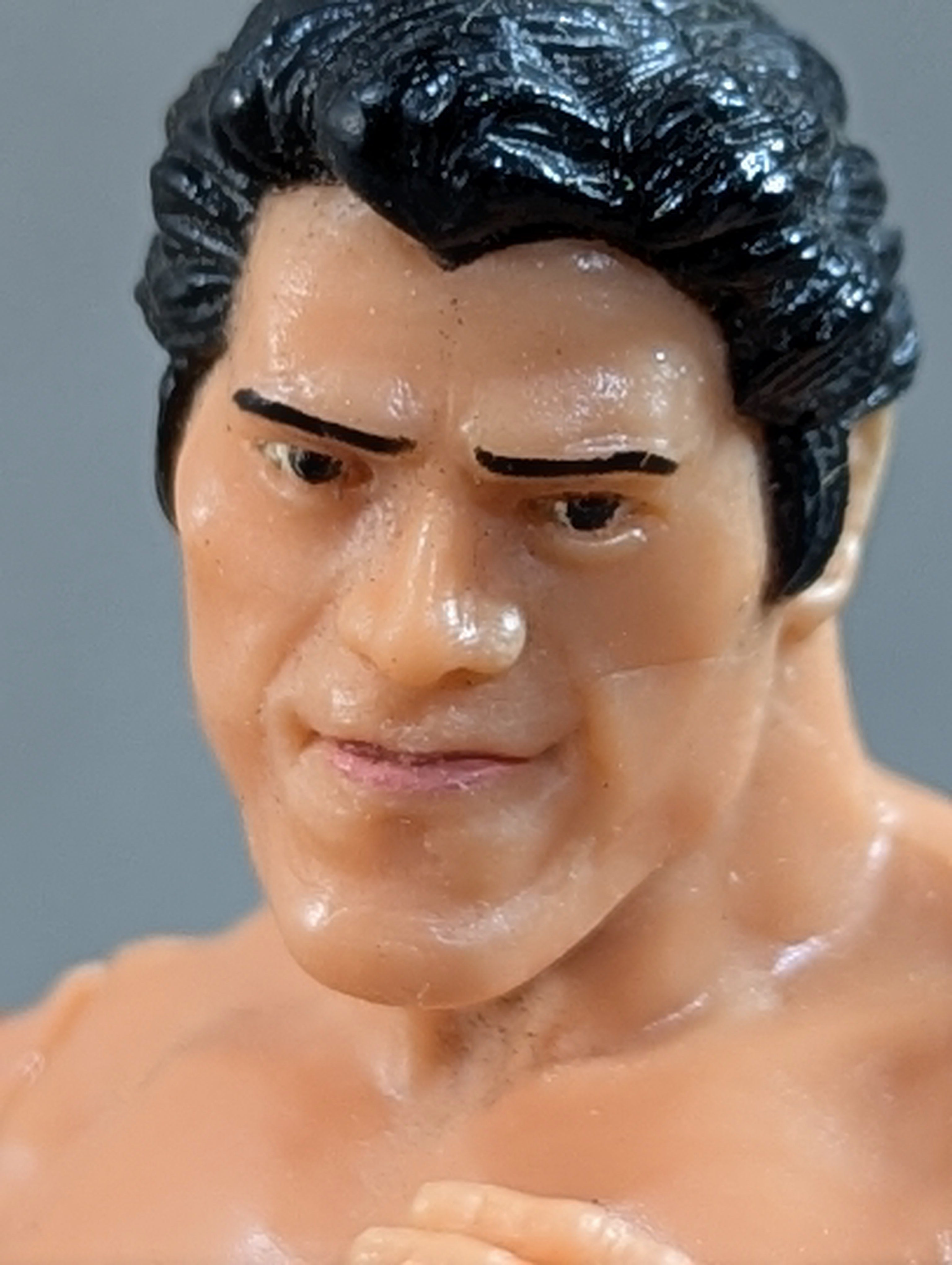 アントニオ猪木(IWGPベルト) – 闘道館